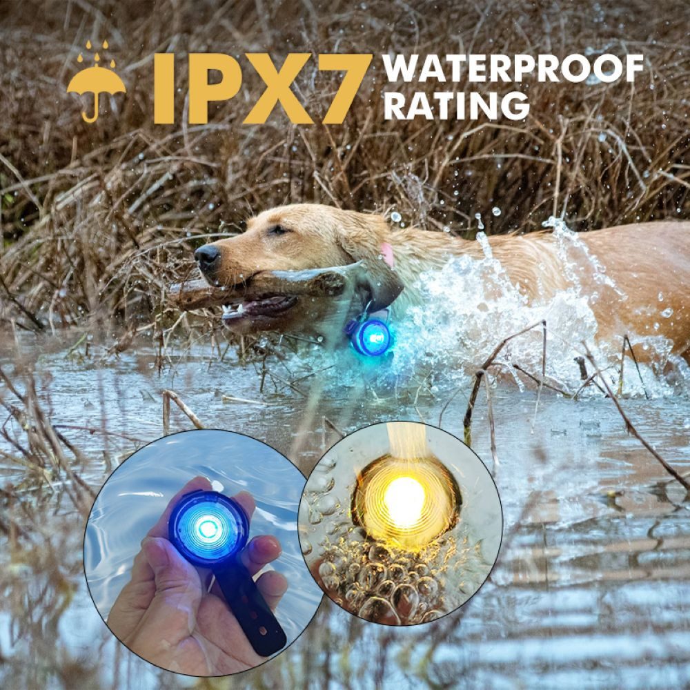 Illes-Laedchen Hundehalsbandleuchte LED Licht für Hundehalsband wasserdicht, wiederaufladbar, LED fest integriert, Ein Licht - 8 Modis und 7 Farben