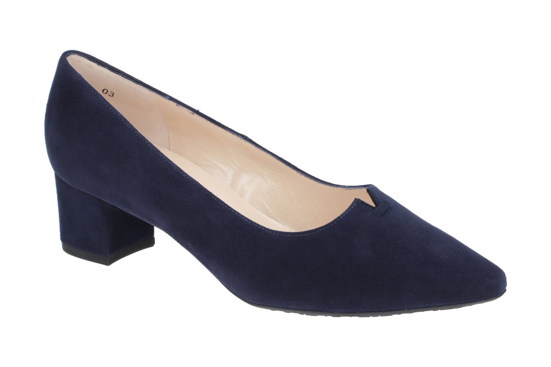 41903/104 Pumps