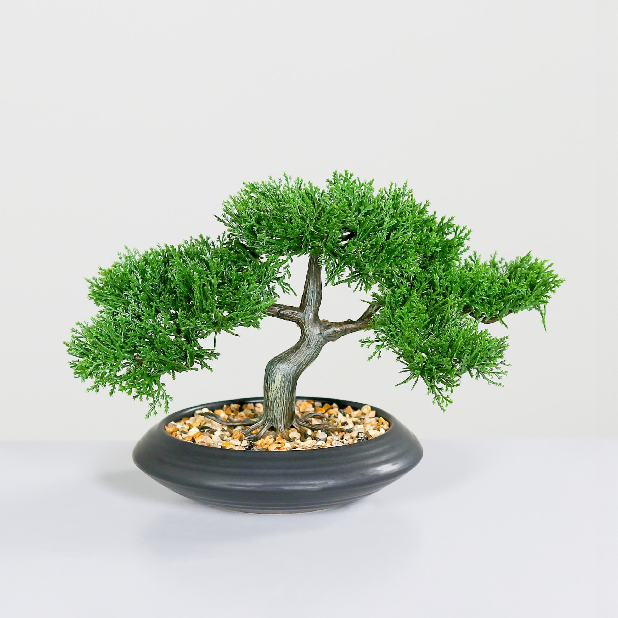Kunstbonsai Kunst Zedem Bonsai in Keramik günstig online kaufen