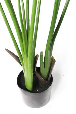 Kunstpflanze Künstliche Pflanze KP800600 Strelizie Paradies Pflanze, Arnusa, Höhe 120 cm, Fertig im Topf