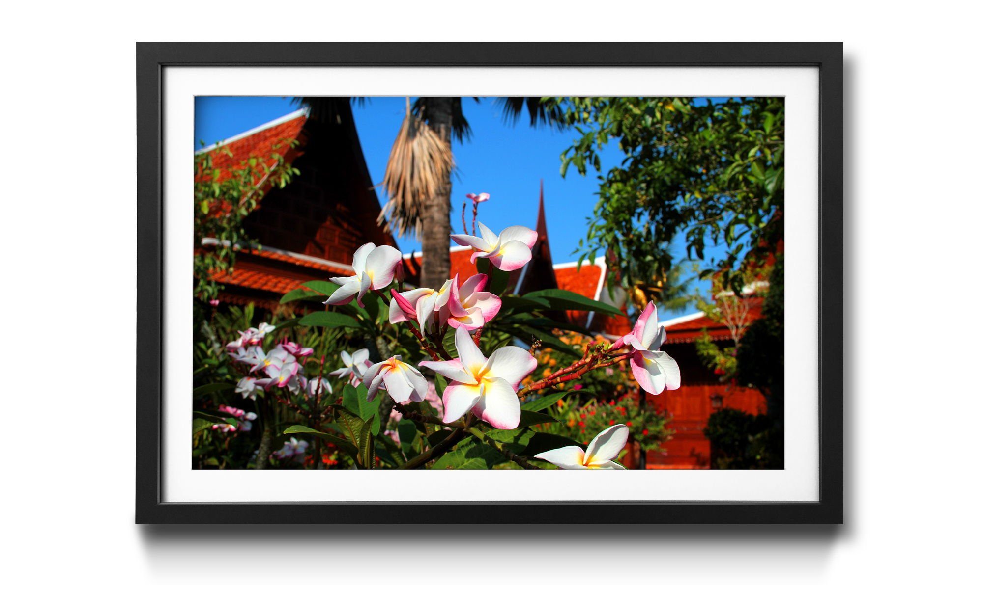 WandbilderXXL Bild mit Rahmen Thai Day, Blumen, Wandbild, in 4 Größen erhältlich