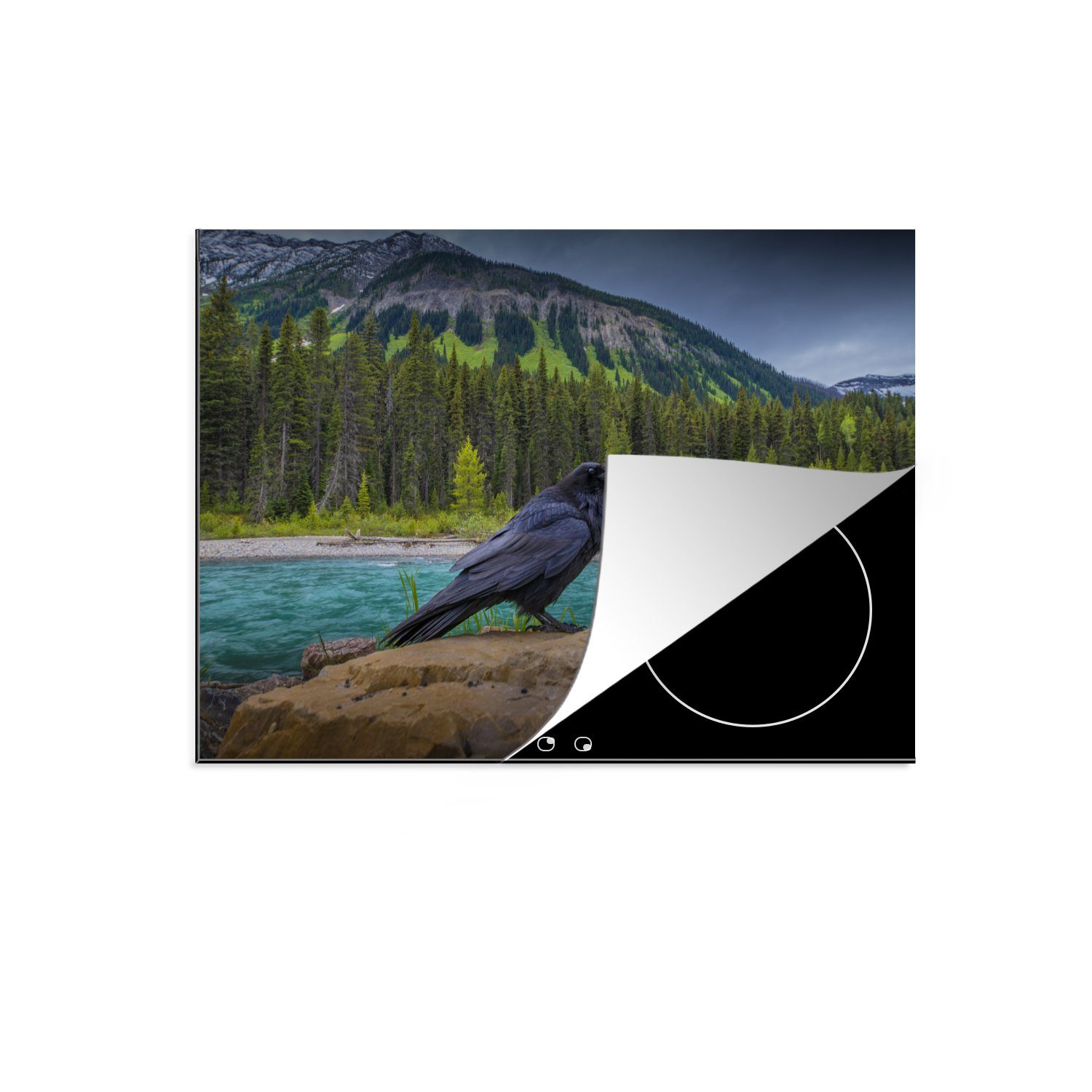 MuchoWow Herdblende-/Abdeckplatte Eine Krähe sitzt am Wasser im Kootenay National Park, Kanada, Vinyl, (1 tlg), 71x52 cm, Induktionskochfeld Schutz für die küche, Ceranfeldabdeckung