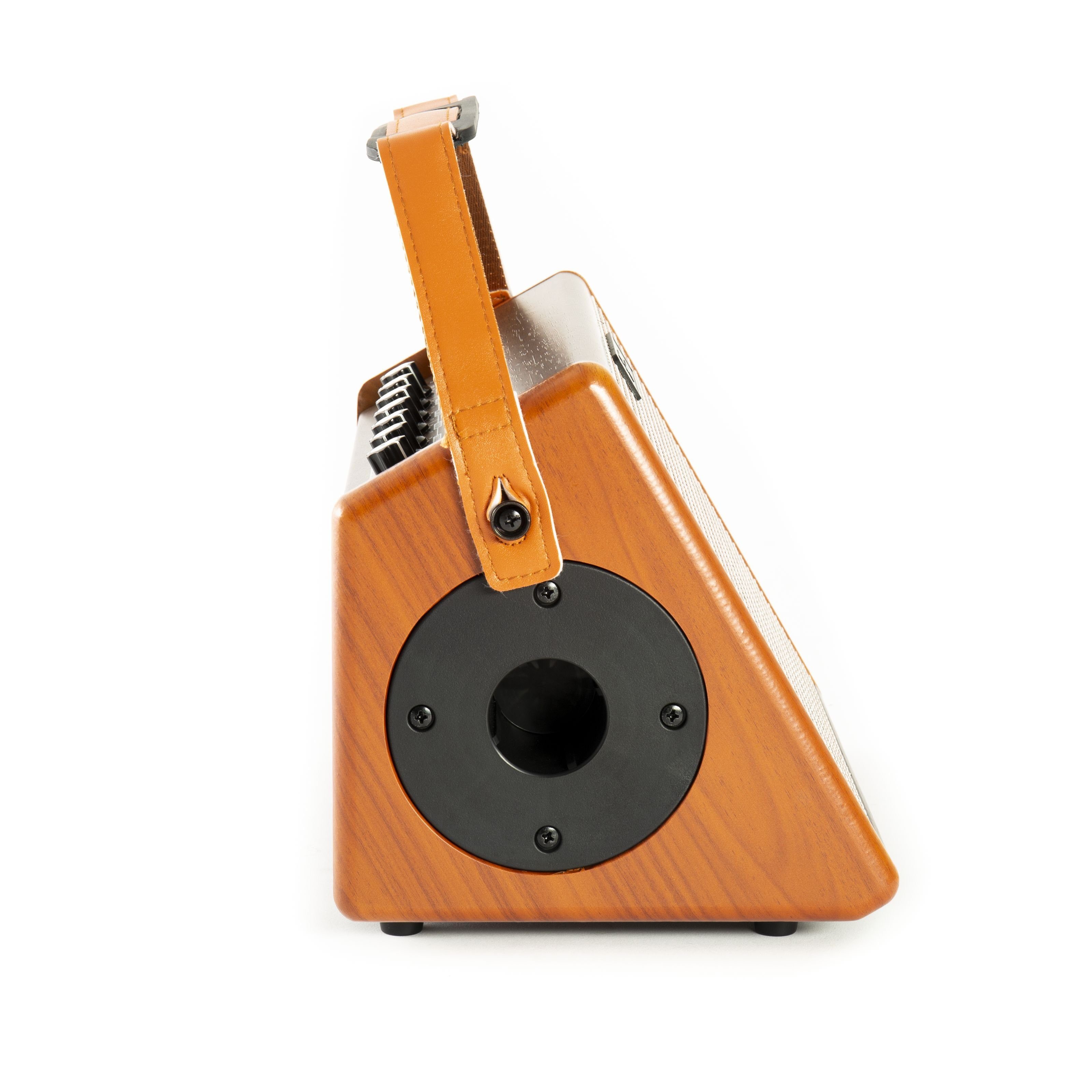 FAME Verstärker (Akustikgitarrenverstärker, integrierter Akku, Bluetooth)