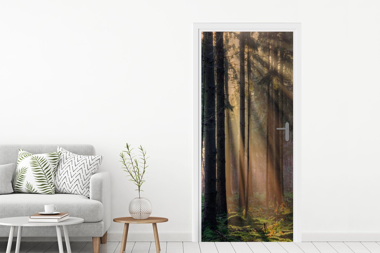 Türtapete - Sonne (1 cm Türaufkleber, bedruckt, - Fototapete für Wald Bäume MuchoWow St), Matt, - 75x205 Pflanzen, Tür,