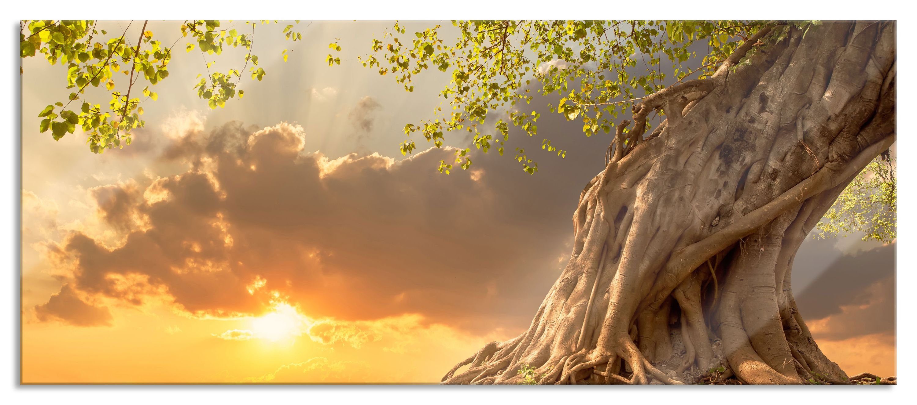 Glasbild Baum
