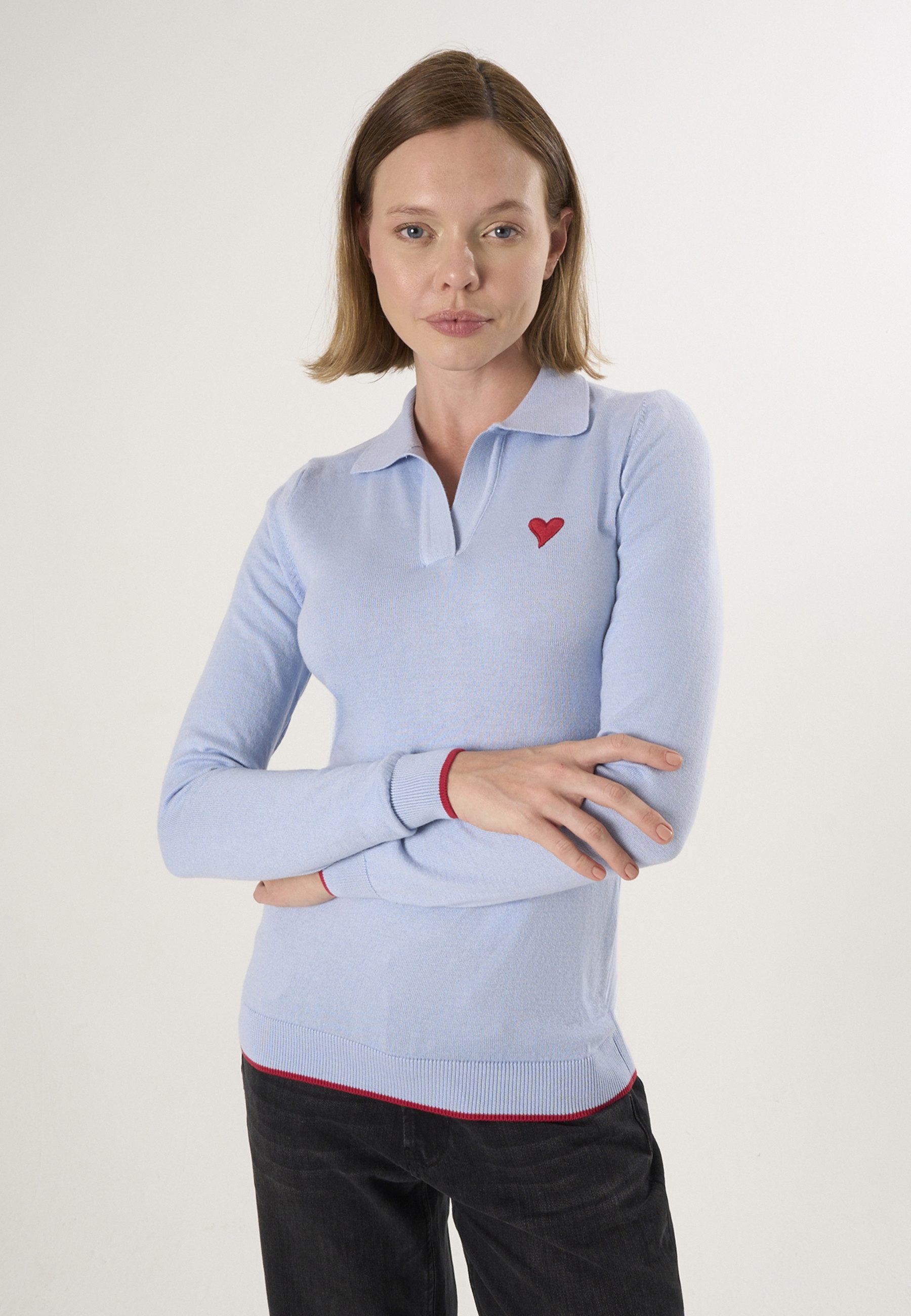 Felix Hardy Polokragenpullover Strickpullover mit Rollkragen