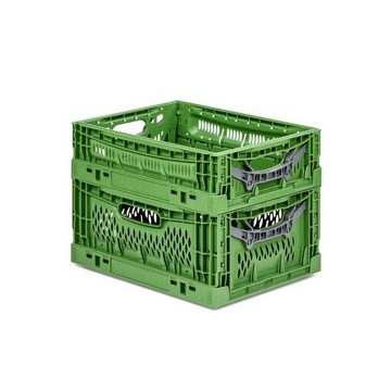 PROREGAL® Faltbox SparSet Stabile Profi-Klappbox Chameleon in Industriequalität