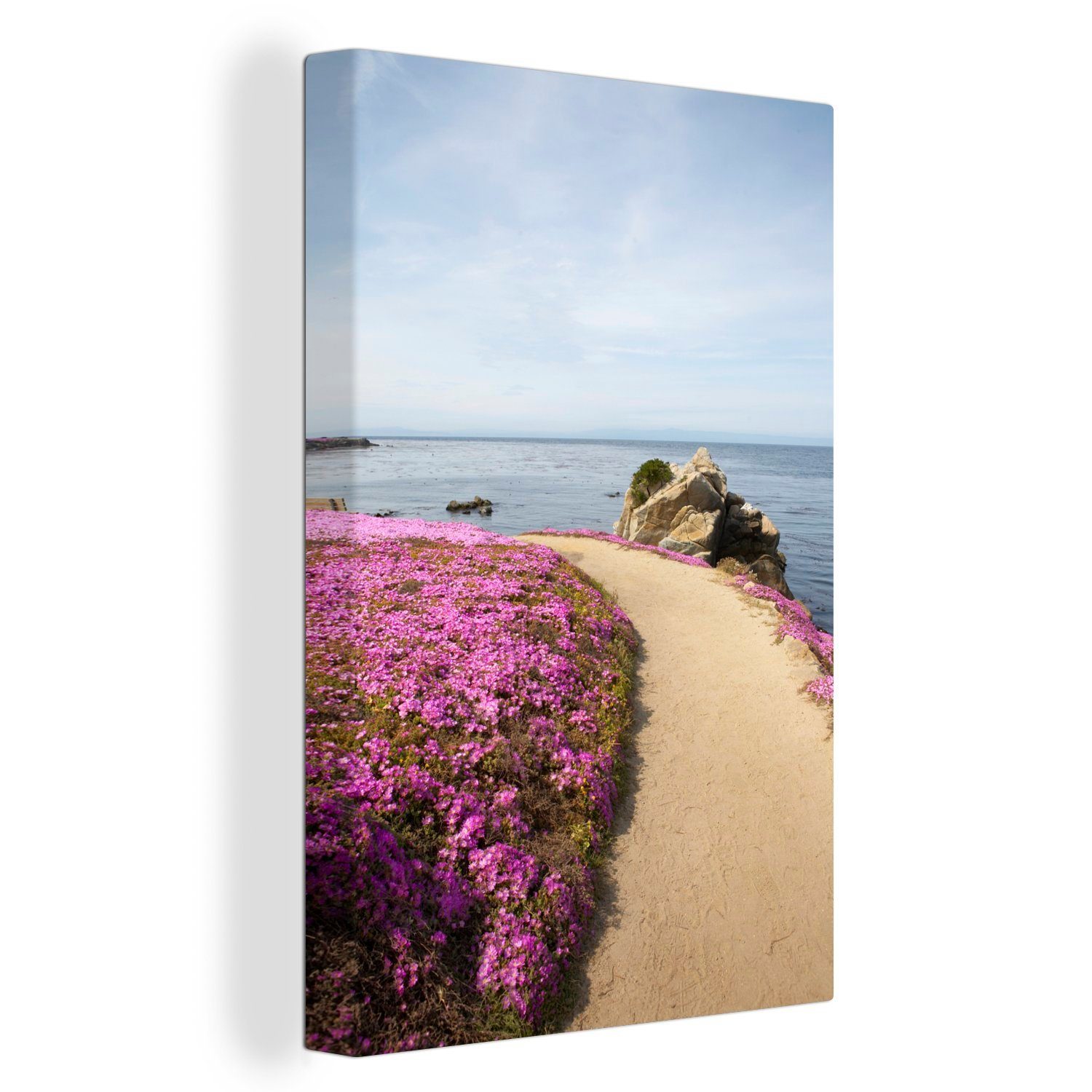OneMillionCanvasses® Leinwandbild Ein Teppich aus Eisblumen entlang der Monterey Bay in Kalifornien, (1 St), Leinwandbild fertig bespannt inkl. Zackenaufhänger, Gemälde, 20x30 cm