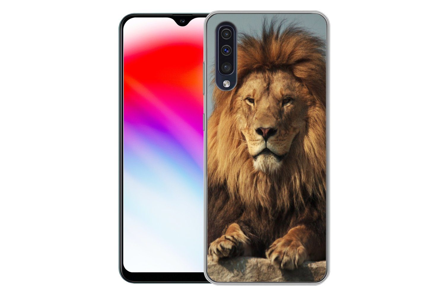 MuchoWow Handyhülle für Samsung Galaxy A50 Löwe - Felsen - Porträt, Smartphone-Bumper, Print, Handy Schutzhülle Dünn