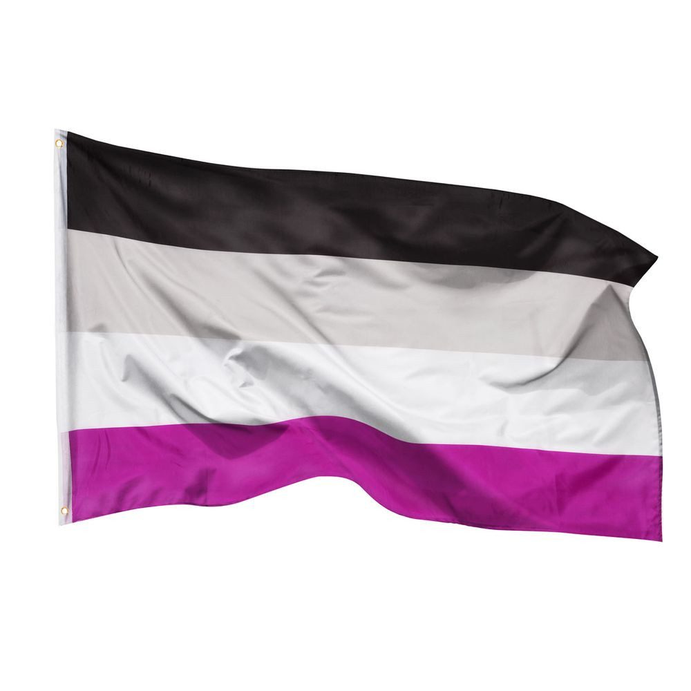 Flagge Asexuelle Flagge Stolz LGBT 90x150cm Fahne Asexuellefahne
