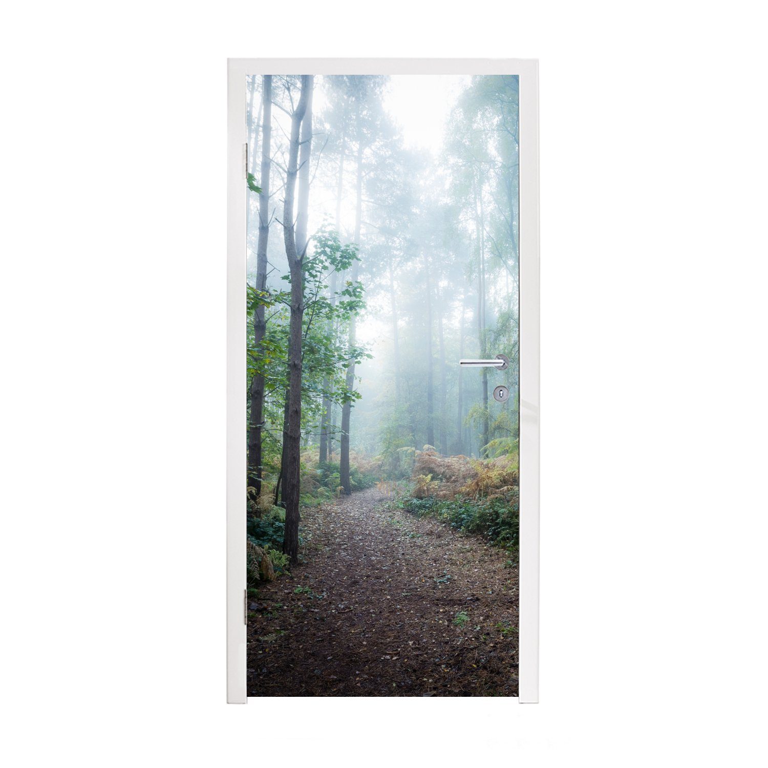 (1 Fototapete Wald MuchoWow Matt, cm Türaufkleber, - für St), 75x205 bedruckt, Nebel Türtapete Weg, - Tür,