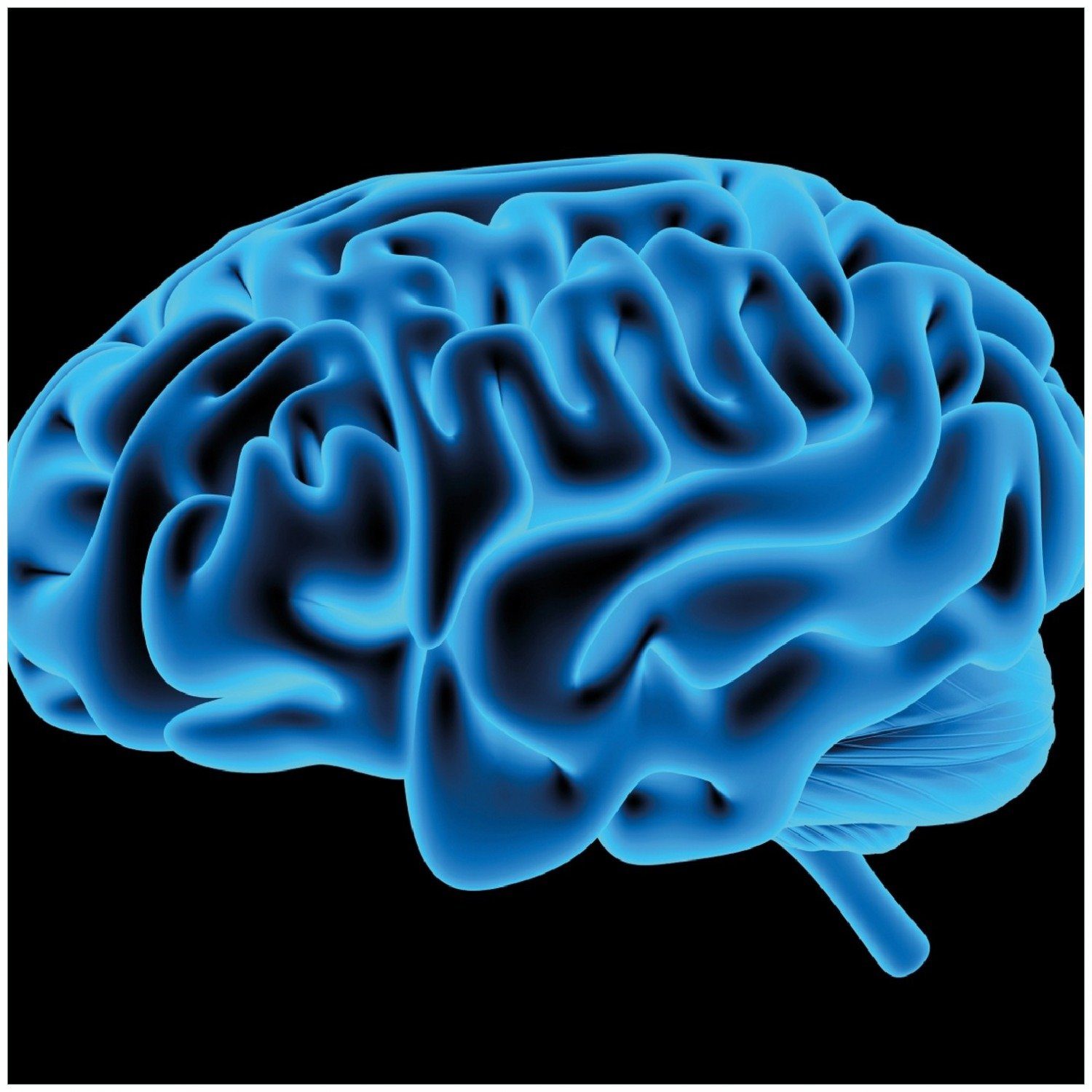 Wallario Memoboard Menschliches Gehirn in leuchtend blauer Farbe