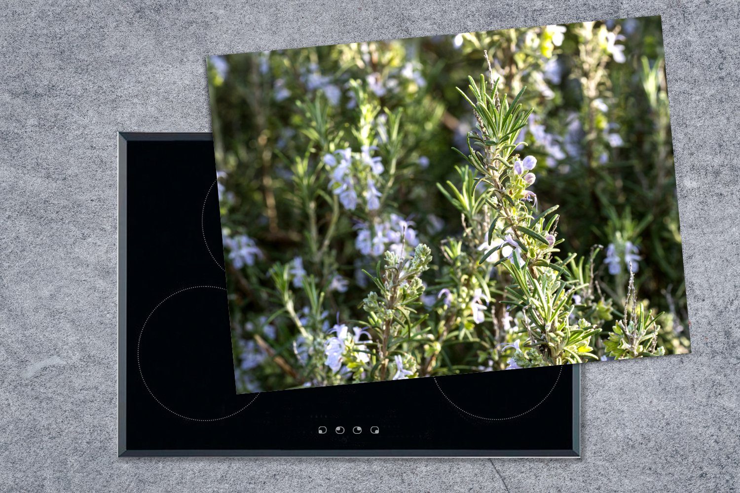 mit MuchoWow Ceranfeldabdeckung Arbeitsfläche Rosmarinpflanzen Blüten, Wilde nutzbar, 70x52 Vinyl, cm, Herdblende-/Abdeckplatte tlg), blühenden Mobile (1