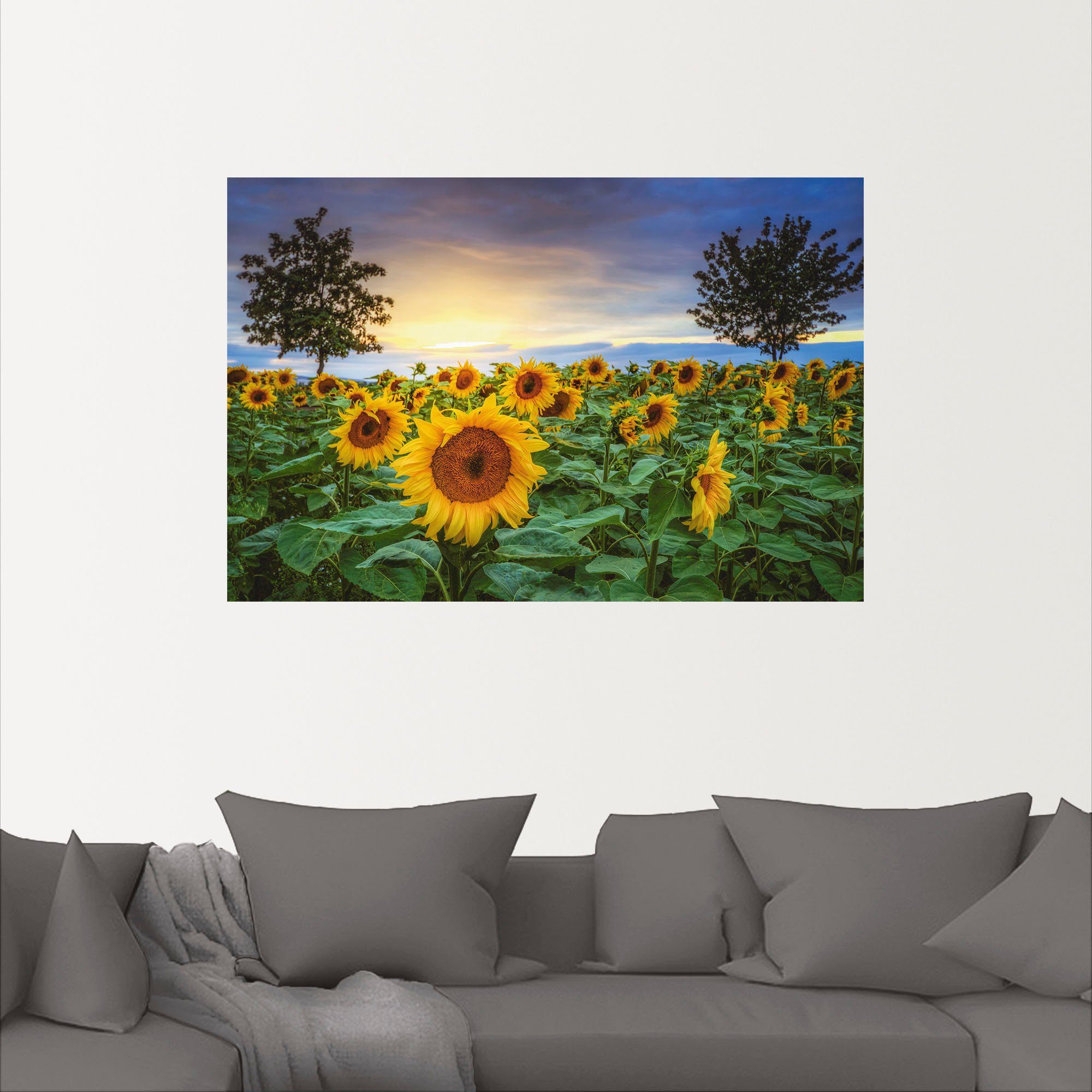 Leinwandbild, Blumen (1 IV, Poster St), Artland Größen versch. Alubild, Sonnenblumen als oder in Wandaufkleber Wandbild