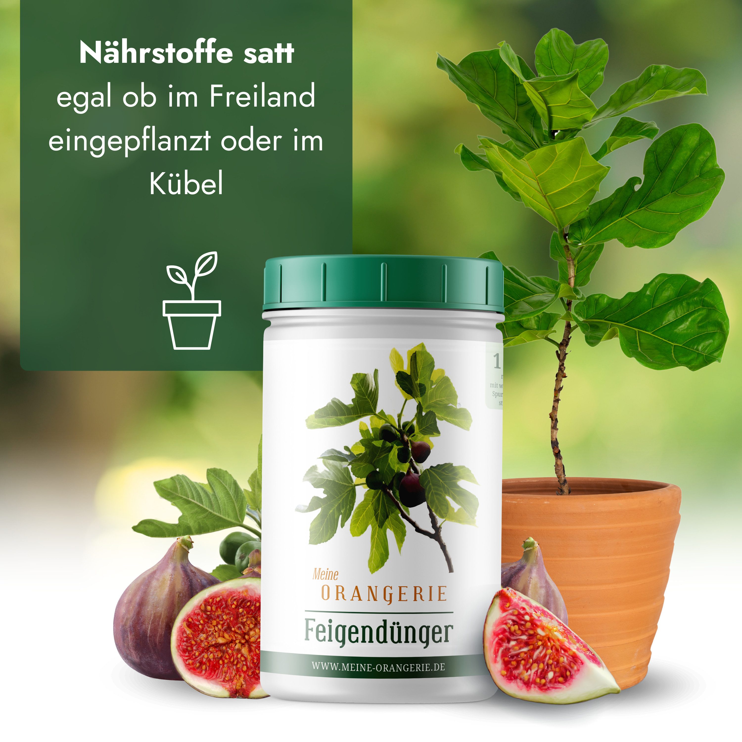 Meine Orangerie Spezialdünger Premium Pflanzendünger für alle Feigenbäume, Dose, 1-St., mineralisches Nährsalz für starke Pflanzen & hohe Widerstandskraft, Profi-Feigendünger für gesunde Blätter & bessere Fruchtbildung