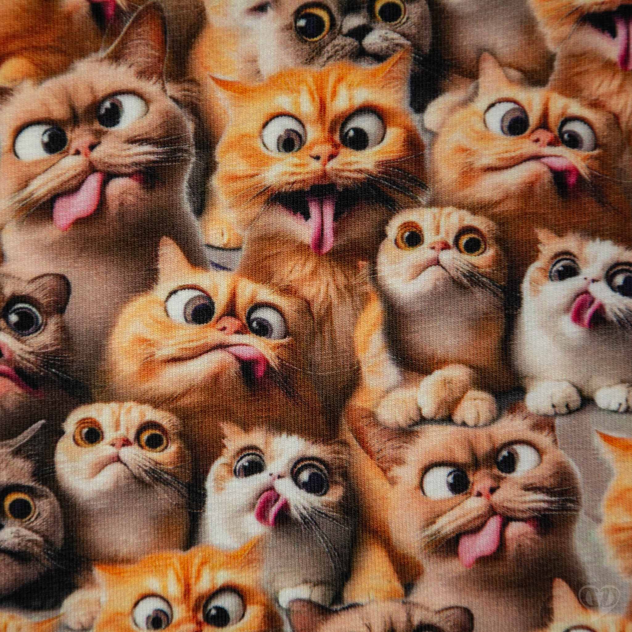 maDDma Stoff Baumwolljersey Funny Cats Print Kinderstoff Meterware 150cm breit