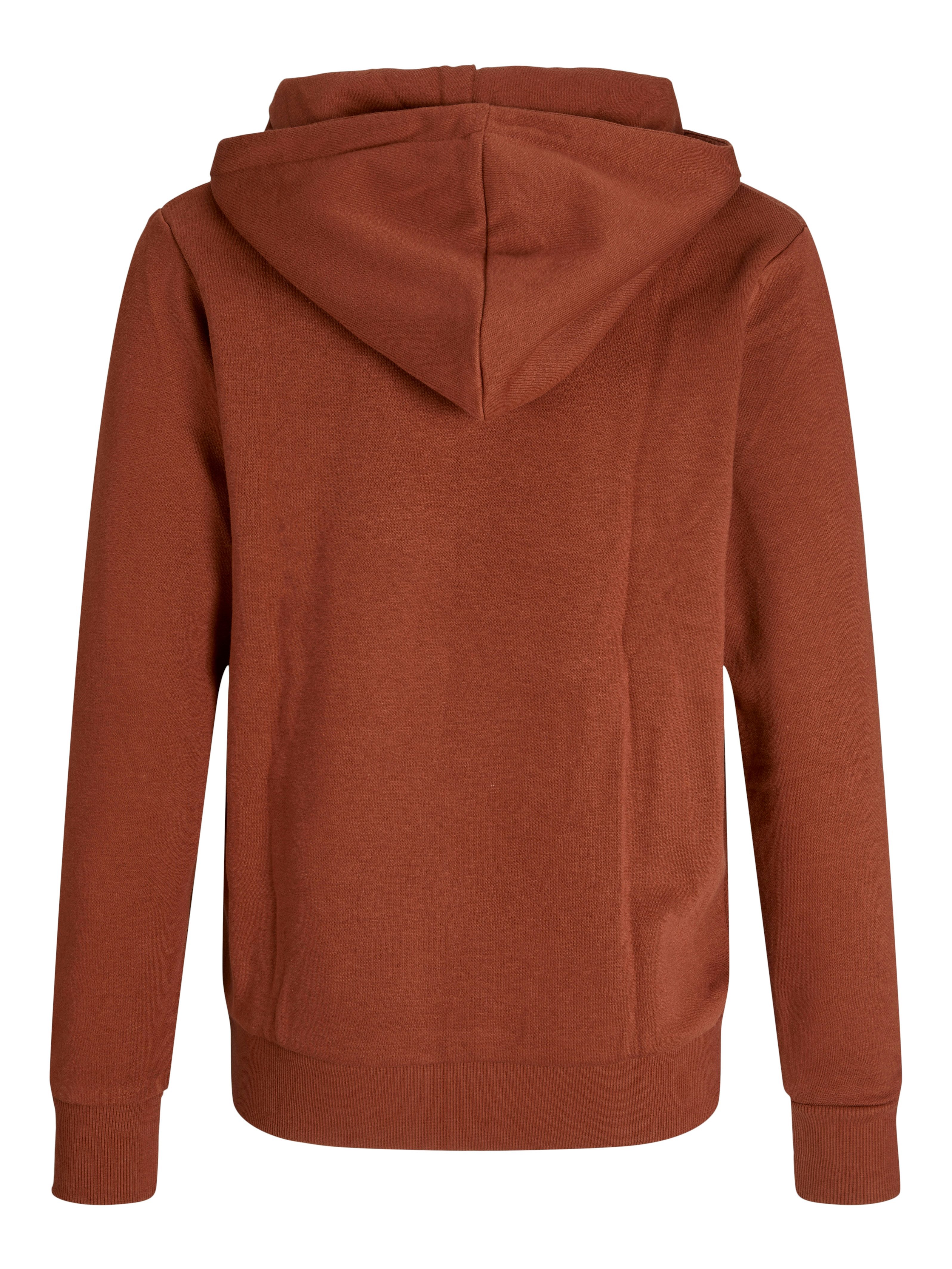 Jack & Jones Junior Kapuzensweatshirt JJECALEB VARSITY SWEAT HOOD NOOS JNR