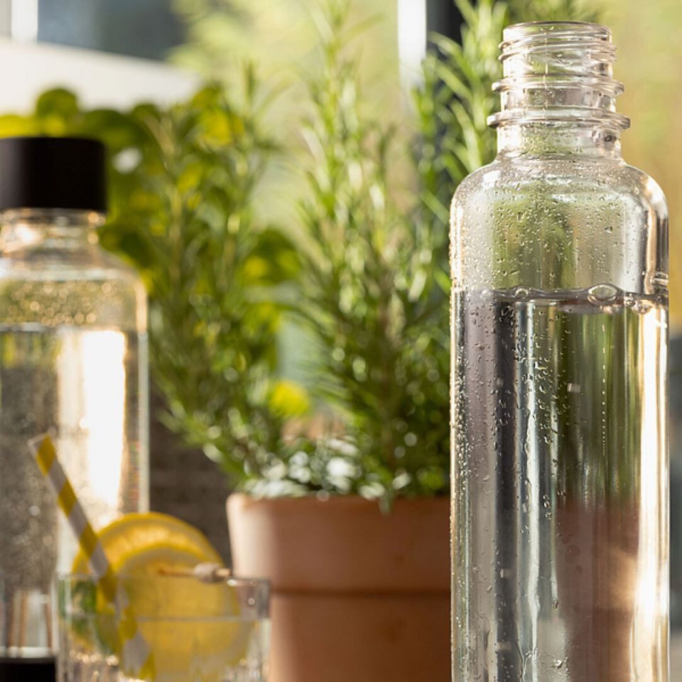 Sodapop Wassersprudler Flasche Glas-Flaschen 2er-Set 0,6L + 0,85L für Logan