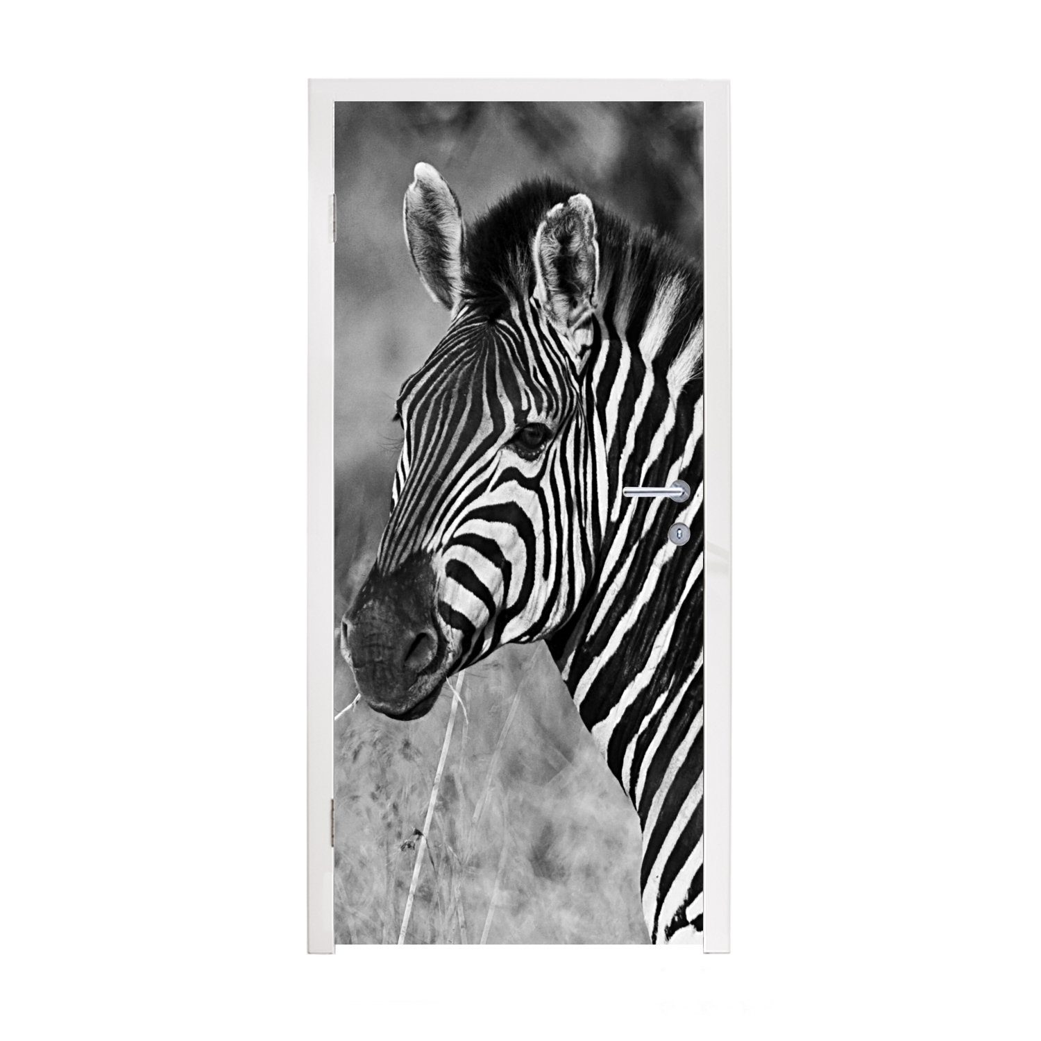 MuchoWow Türtapete Zebra-Porträt, Matt, bedruckt, (1 St), Fototapete für Tür, Türaufkleber, 75x205 cm