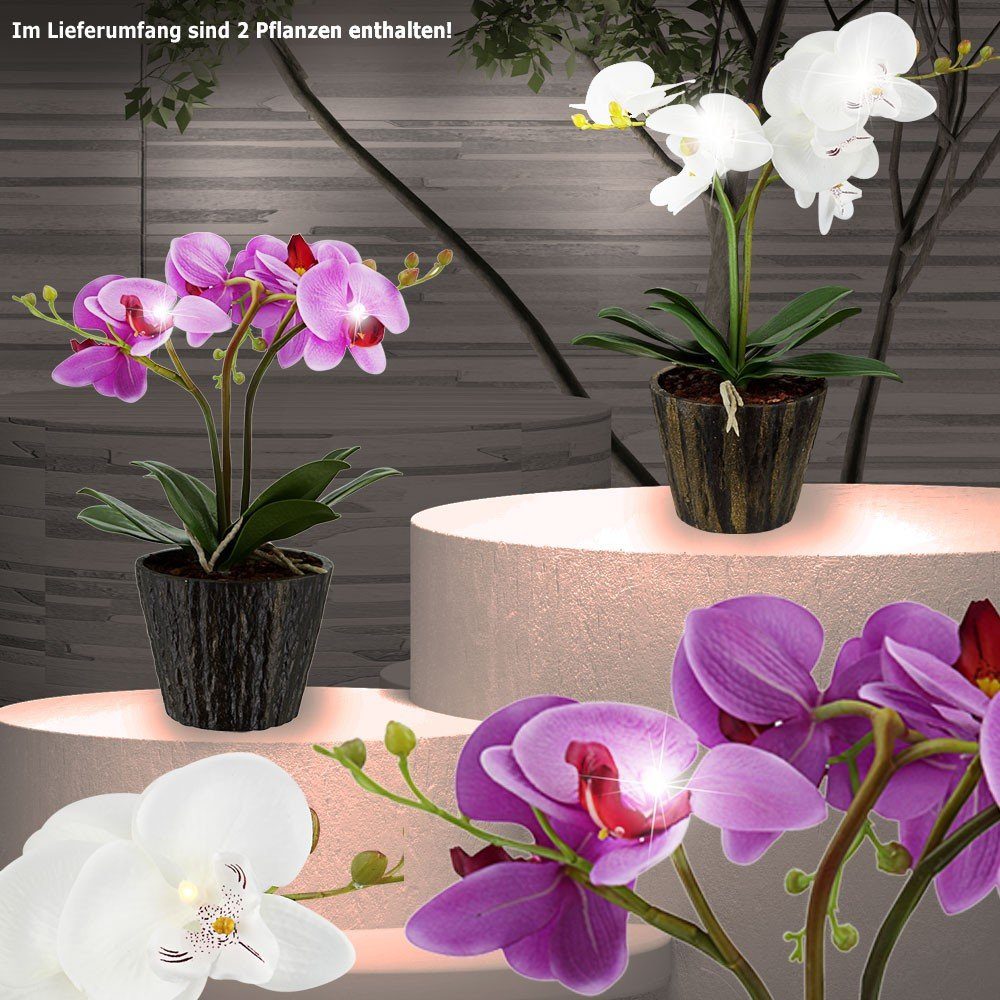 2er Set LED Orchidee Blumen Topf Tisch Leuchten Blüten Deko Pflanzen Big Light 