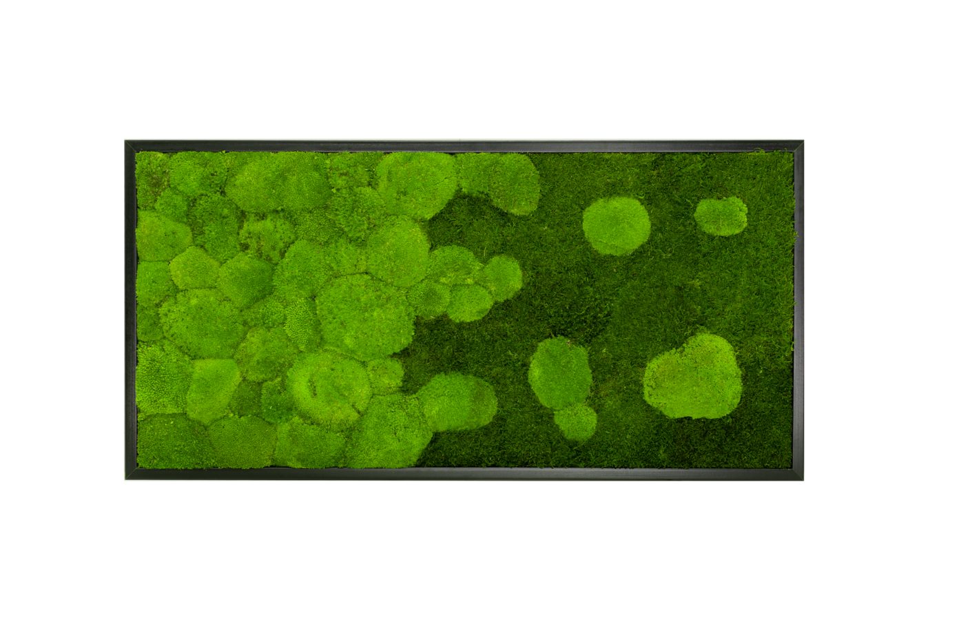 Moos-Design Bilderrahmen Moos Bild River Design günstig online kaufen