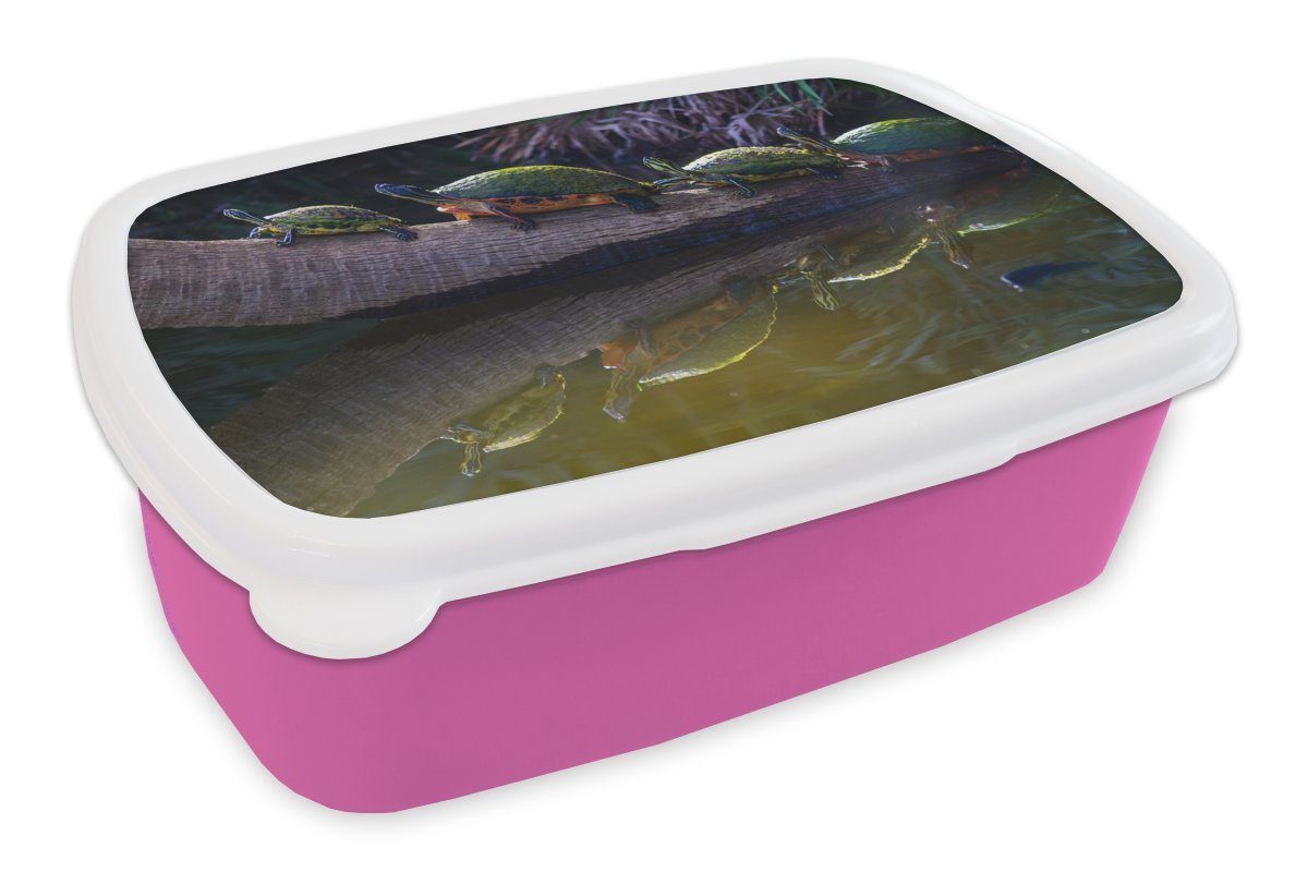 MuchoWow Lunchbox Schildkröten auf einer Palme in der Nähe des Wassers bei Nacht, Kunststoff, (2-tlg), Brotbox für Erwachsene, Brotdose Kinder, Snackbox, Mädchen, Kunststoff rosa
