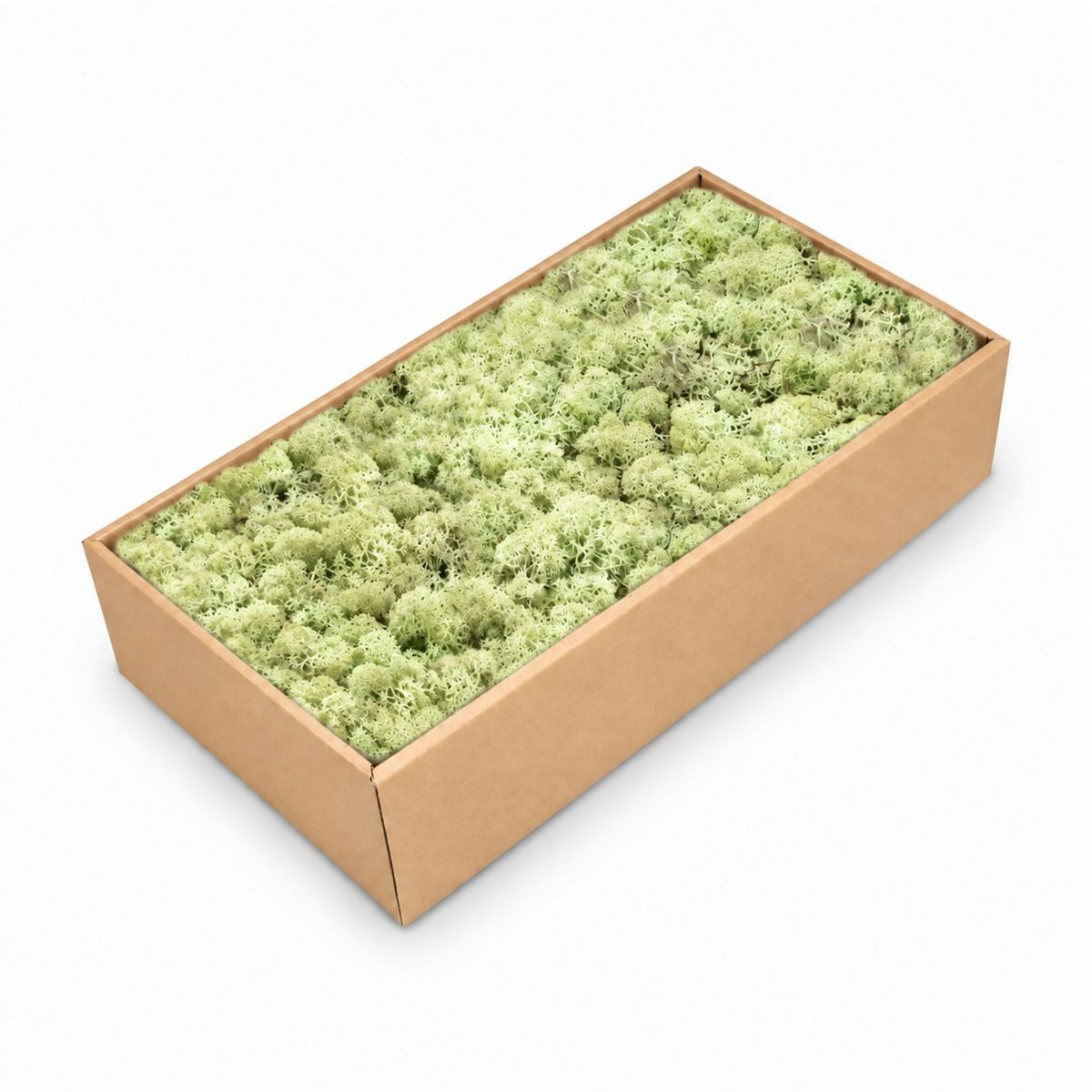 NaDeco Bastelnaturmaterial Islandmoos Mintgrün 500g