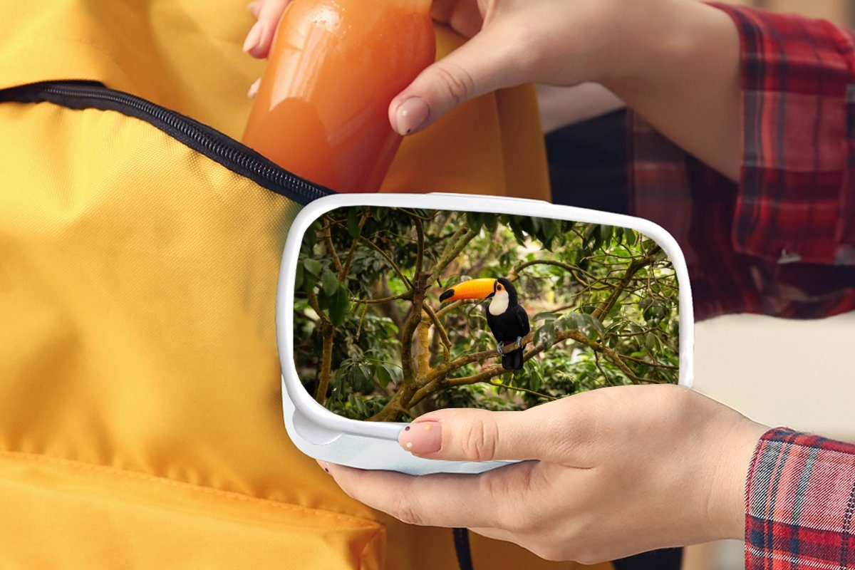 Lunchbox - (2-tlg), Tukan MuchoWow für Erwachsene, Vogel und Dschungel Natur Jungs Brotdose, Tropisch, Kinder und - Mädchen weiß - - Kunststoff, für Brotbox