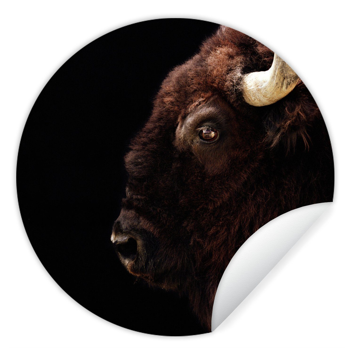 MuchoWow Bison für Wandsticker Wohnzimmer Horn - St), Kinderzimmer, (1 Tapetenaufkleber, Rund, Porträt - Tapetenkreis