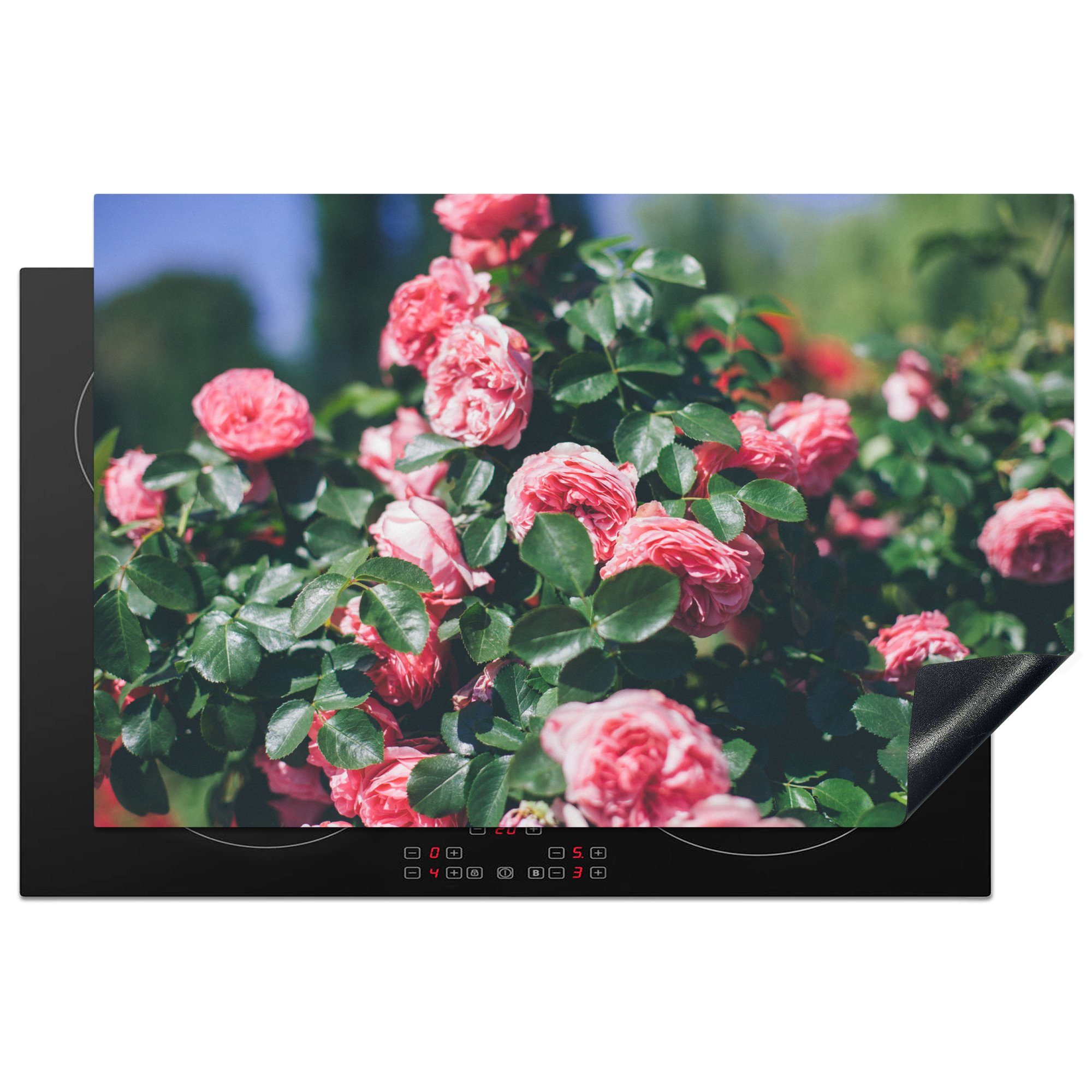 MuchoWow Herdblende-/Abdeckplatte Schöne rosa Rose im Sommergarten, Vinyl, (1 tlg), 81x52 cm, Induktionskochfeld Schutz für die küche, Ceranfeldabdeckung