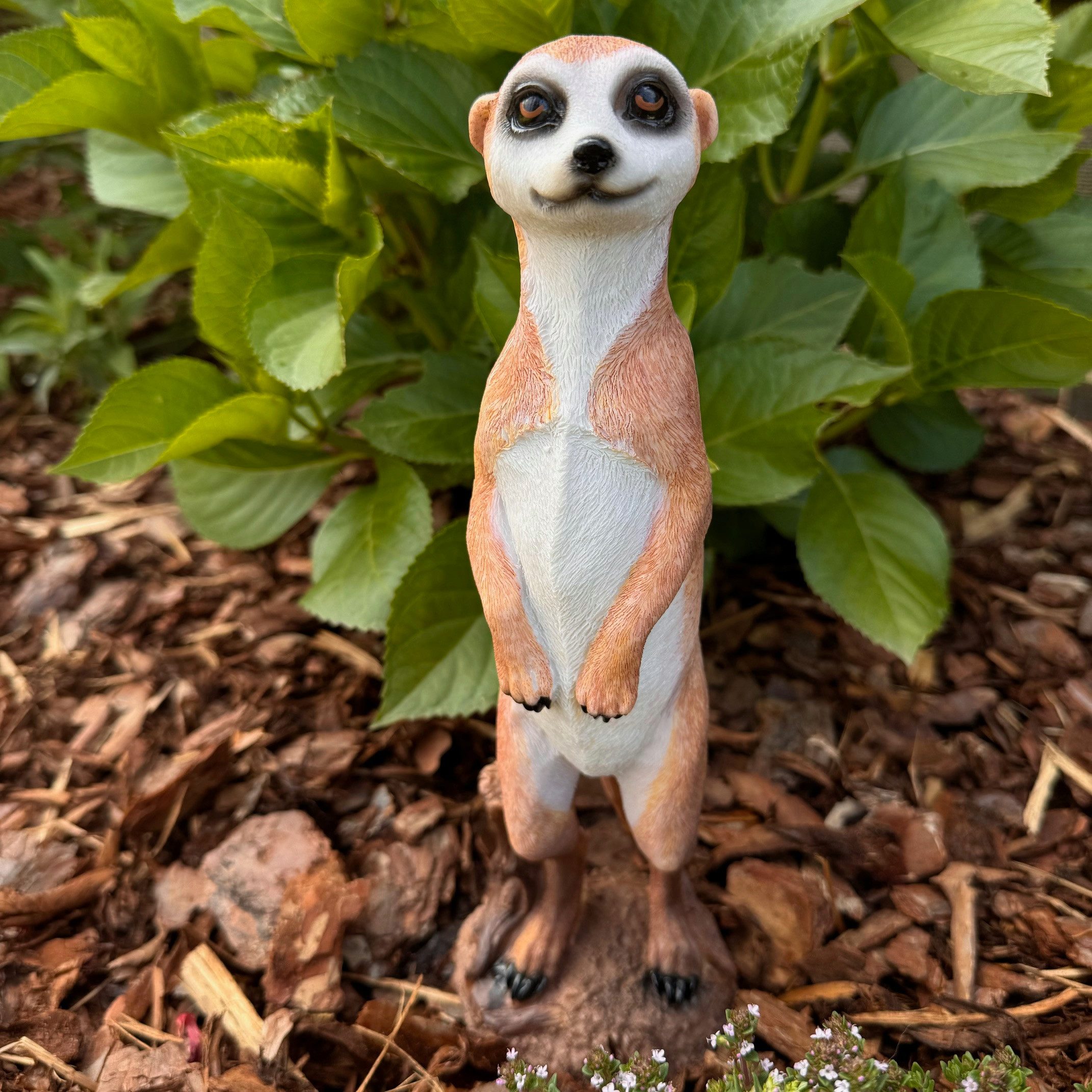Online-Fuchs Gartenfigur Erdmännchen Deko Figuren im Set für den Garten - W günstig online kaufen
