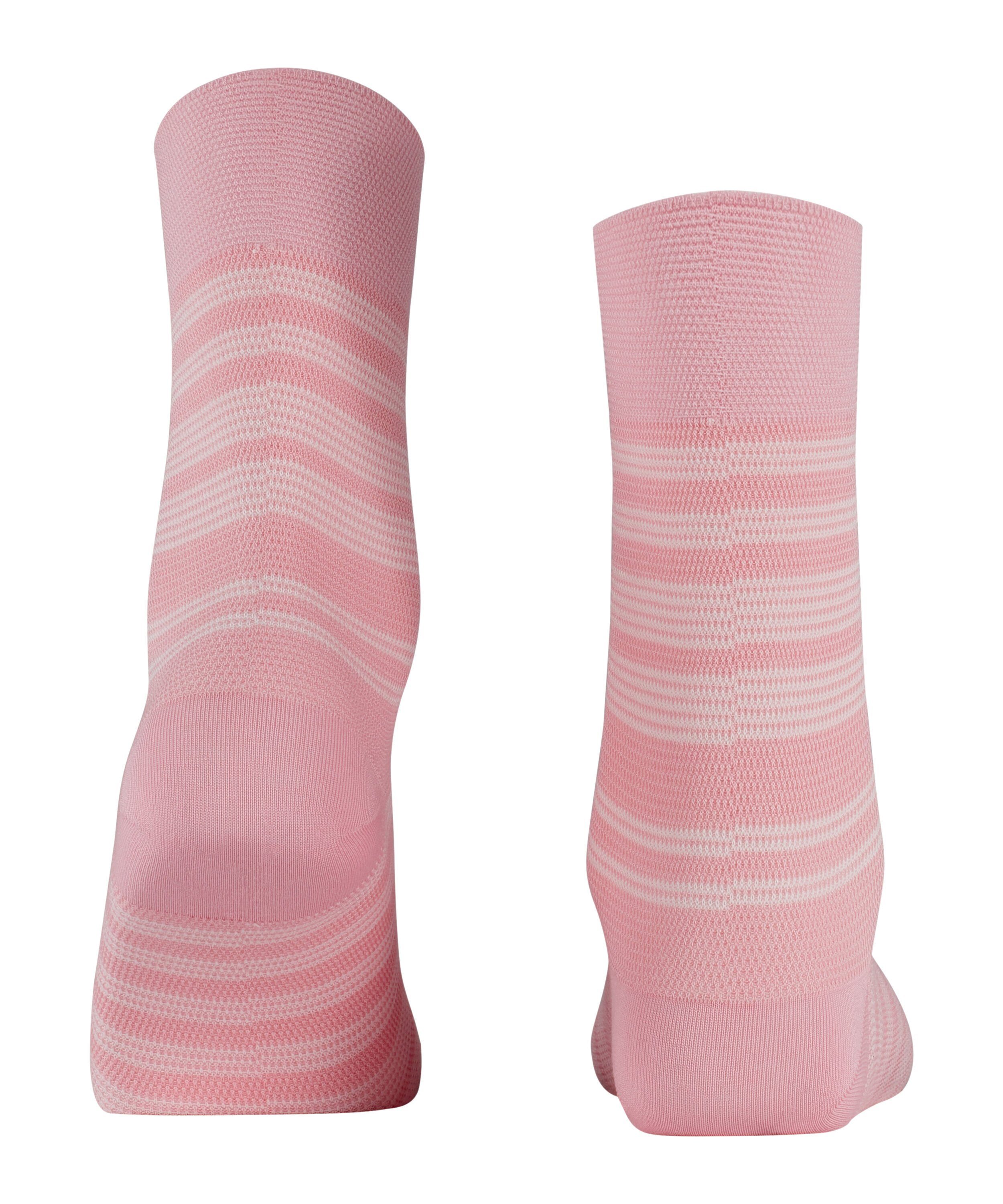 Stripe Socken rose (1-Paar) (8793) FALKE Sunset