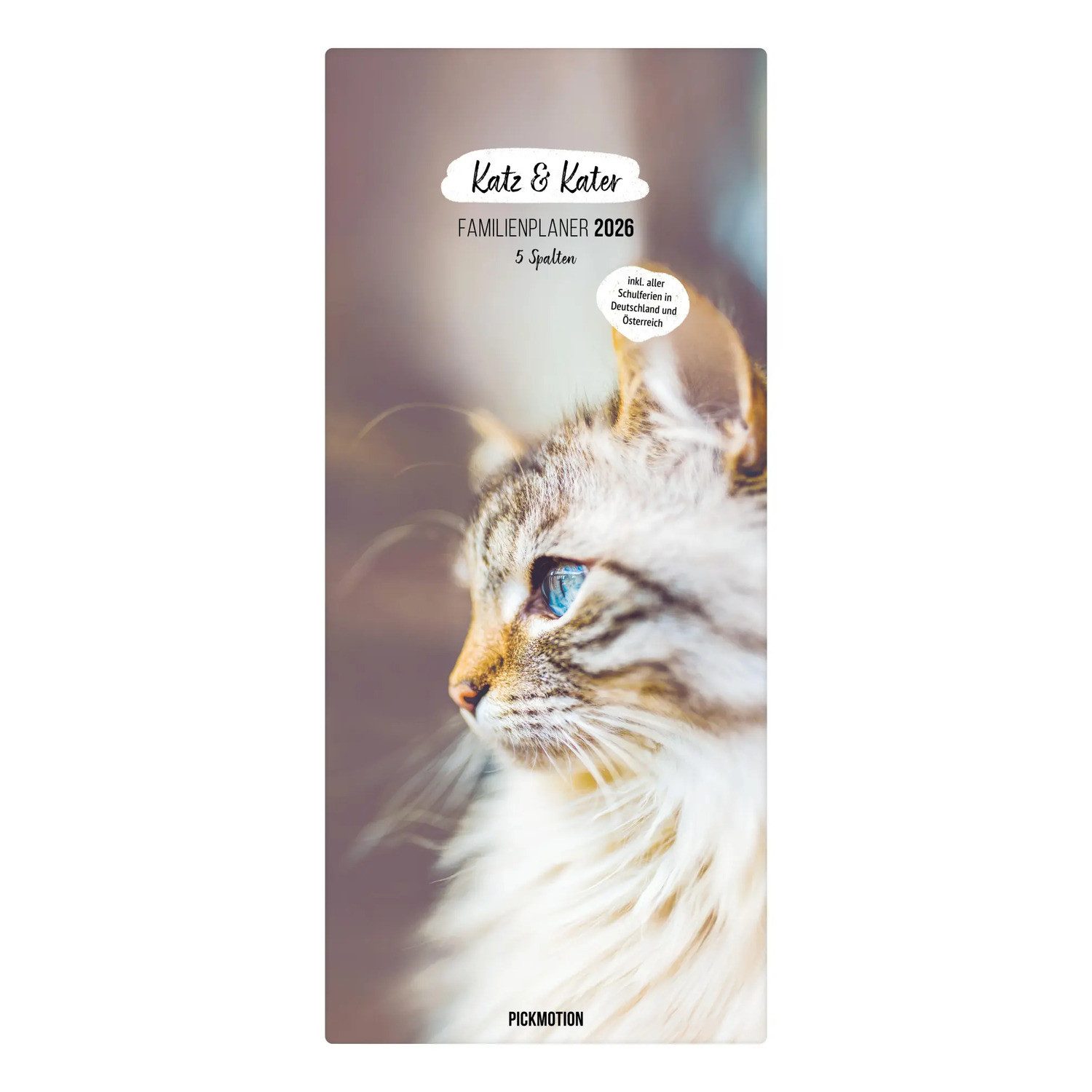 Familienkalender Familienplaner 2026 - Katz & Kater