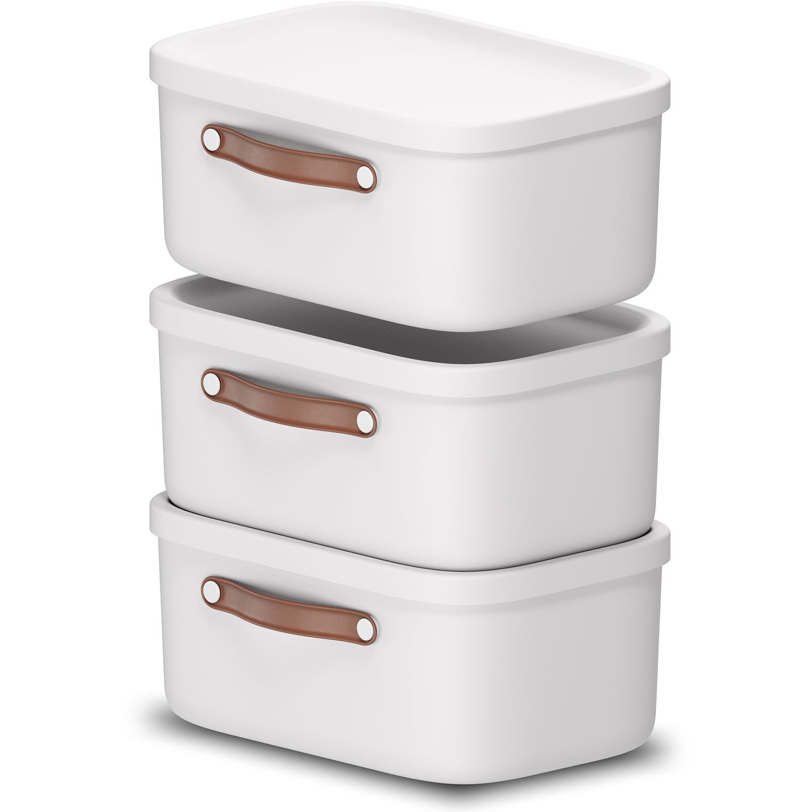 ROTHO Stapelbox 3er-Set Kiste mit Deckel Maloja 12l (Aufbewahrungsset, 3er- günstig online kaufen