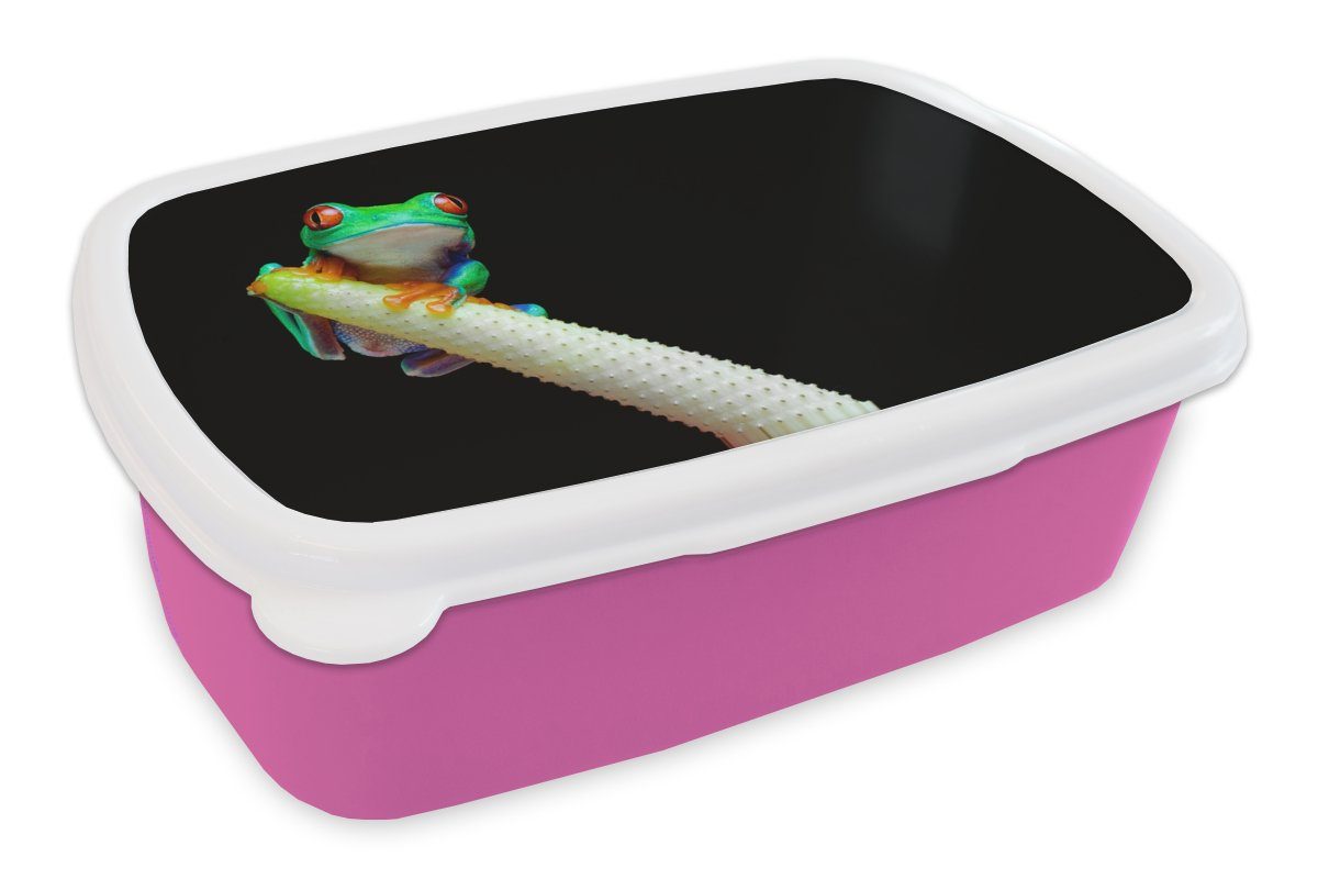 MuchoWow Lunchbox Frosch - Tier - Pflanze, Kunststoff, (2-tlg), Brotbox für Erwachsene, Brotdose Kinder, Snackbox, Mädchen, Kunststoff rosa