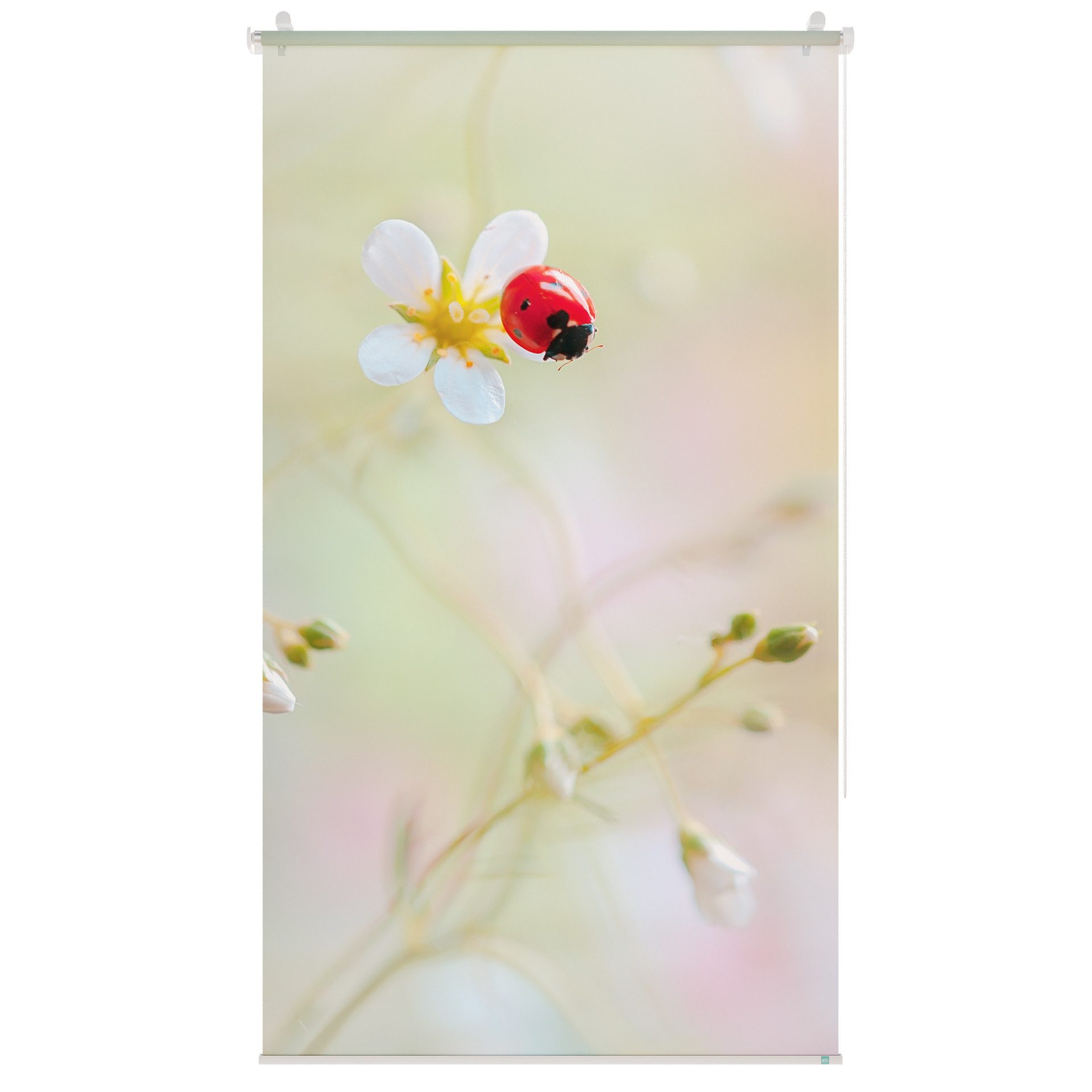 Rollo Rollo, Roomy, Klemmbar, Anschraubbar, Klemmbar, Anschraubbar