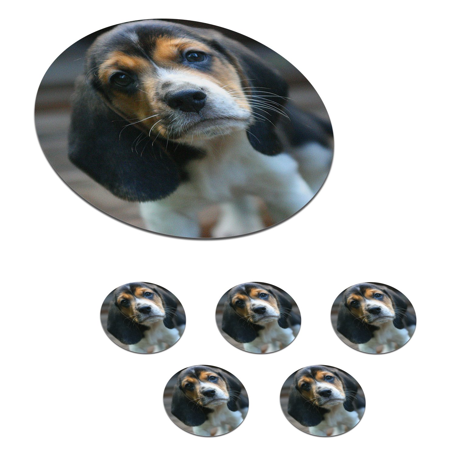 MuchoWow Glasuntersetzer Welpe - Beagle - Braun - Schwarz, Zubehör für Gläser, 6-tlg., Getränkeuntersetzer, Tassenuntersetzer, Korkuntersetzer, Tasse, Becher