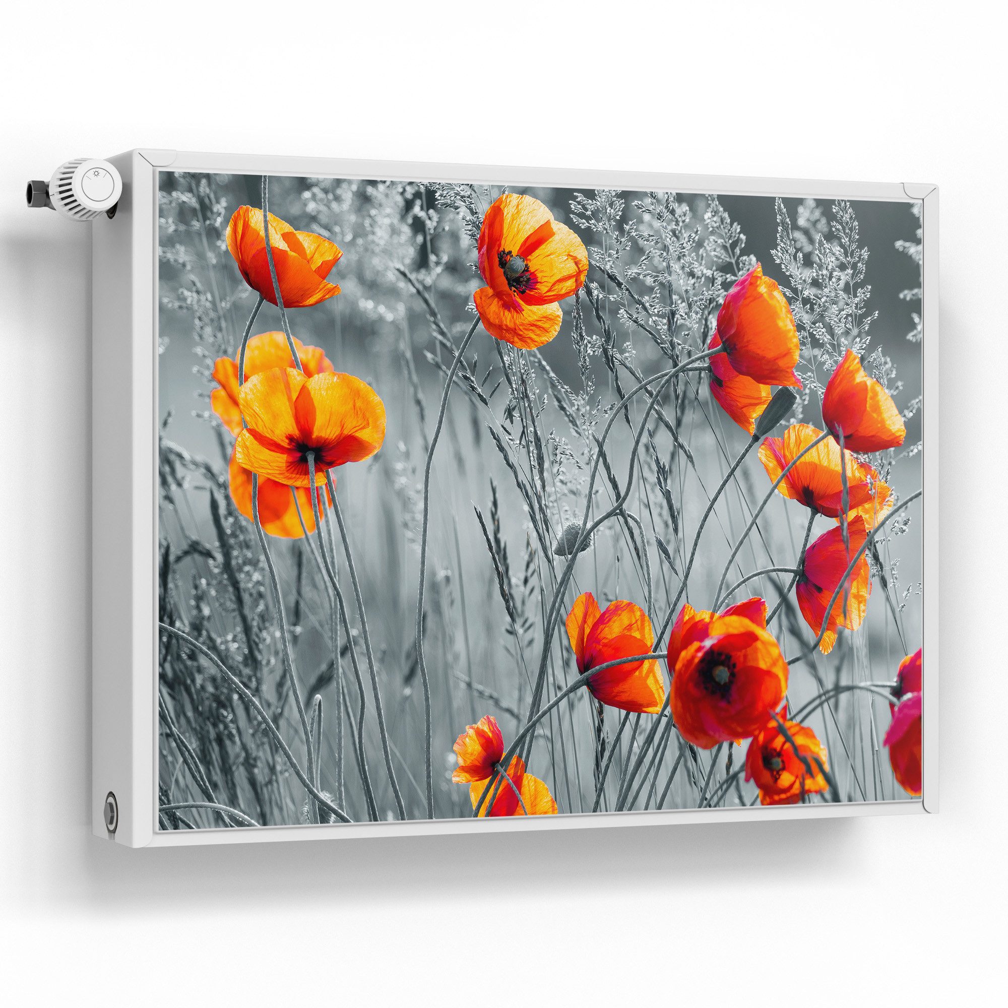 DEQORI Magnetfolie 'Rote Mohnblumen', beschreibbar Heizung Magnetmatte magnetisch Magnetfolie