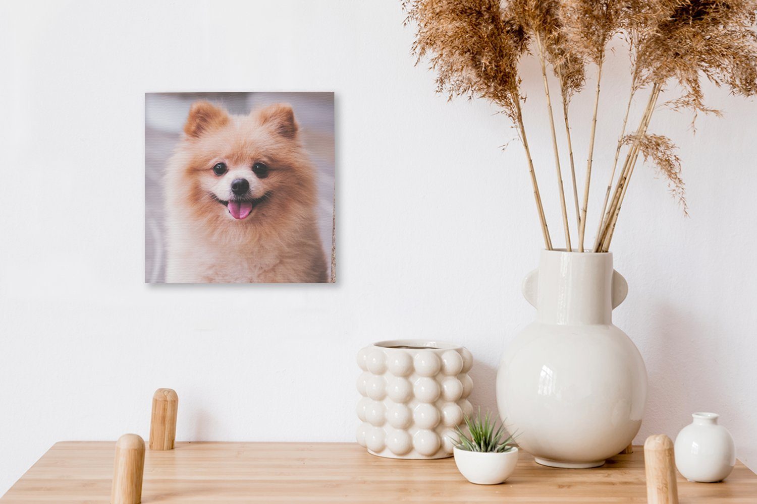 der Pomeranian (1 für Leinwand Wohnzimmer auf Leinwandbild Bilder St), Straße, Schlafzimmer OneMillionCanvasses®