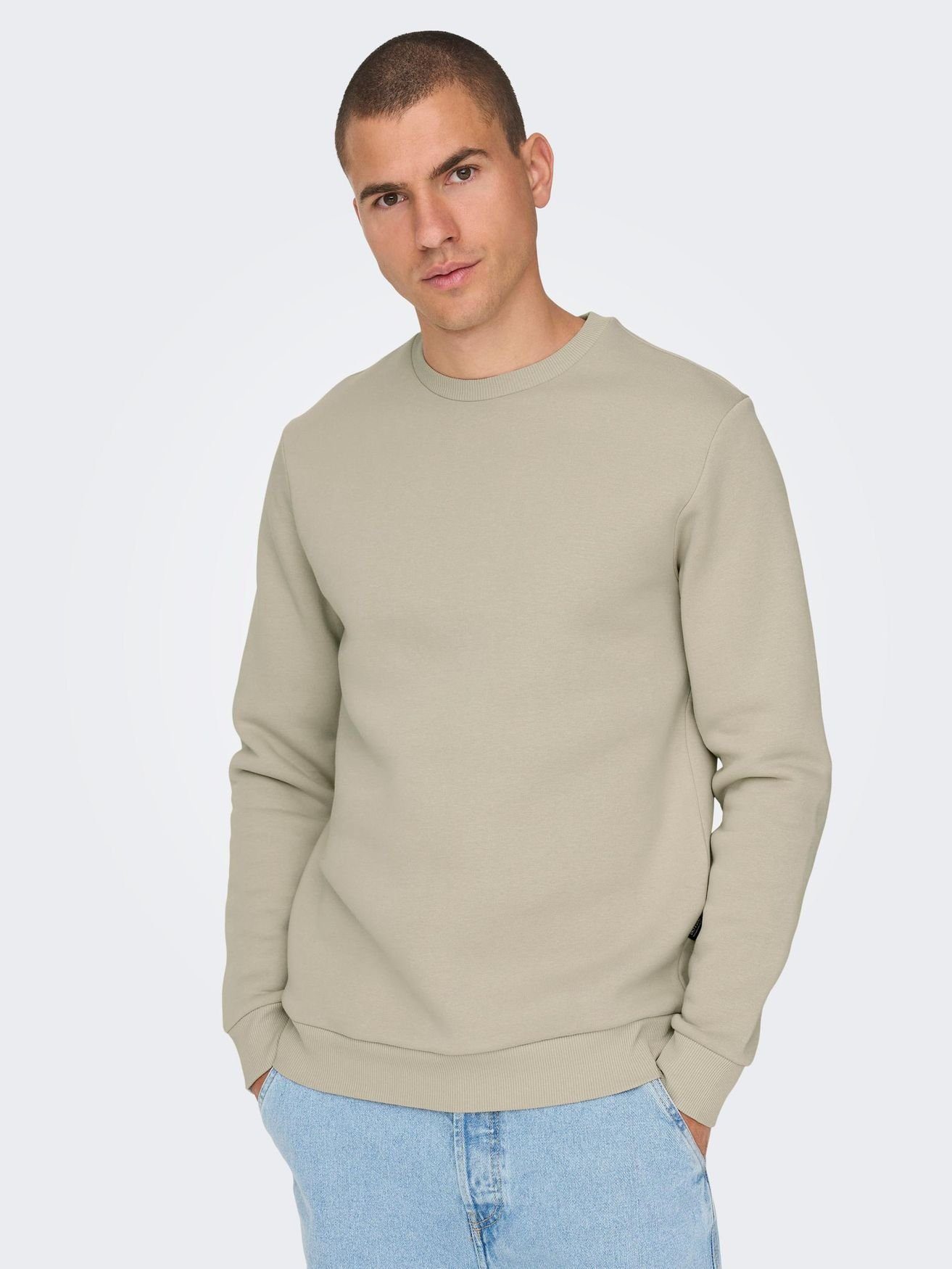 Sweatshirt Langarm ohne ONSCERES 5428 Basic Sweatshirt Beige-2 & Kapuze in SONS ONLY Pullover