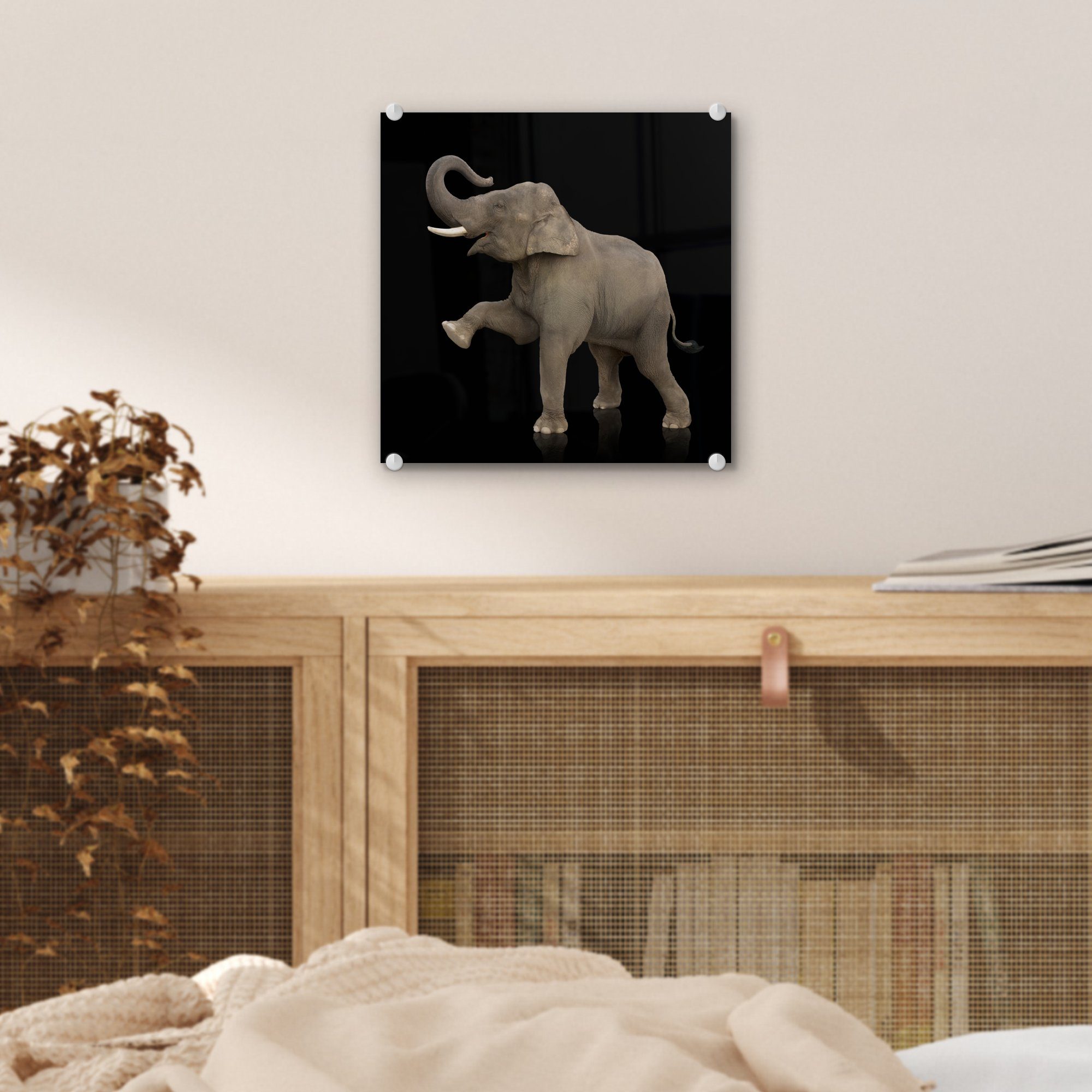 MuchoWow Acrylglasbild Elefant - Tiere Foto Wanddekoration - - Porträt, auf Glasbilder Schwarz (1 St), Wandbild - Glas - - auf Bilder Glas