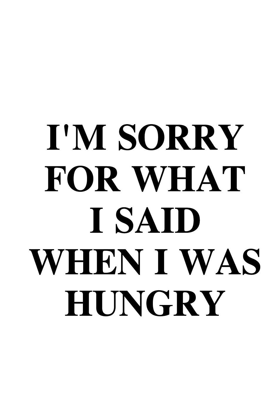 queence Wanddekoobjekt I´m sorry for what I said ..., Stahlschild, Blechschild, Spruch, Witzig, Wanddeko, retro, 20x30cm