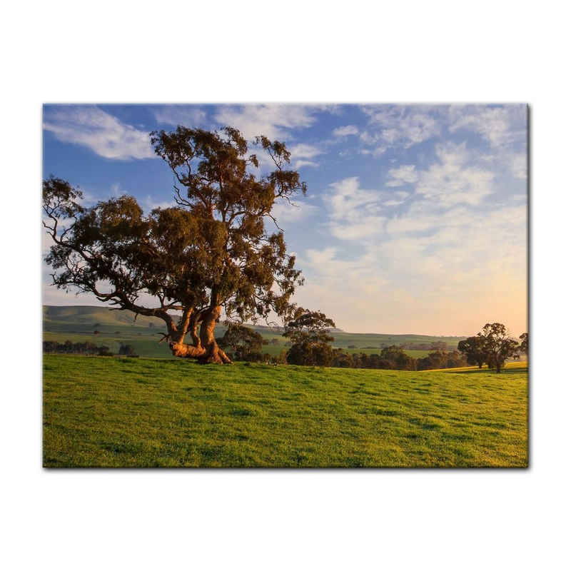 Bilderdepot24 Leinwandbild Canola Field - Clare Valley, Australien, Landschaften