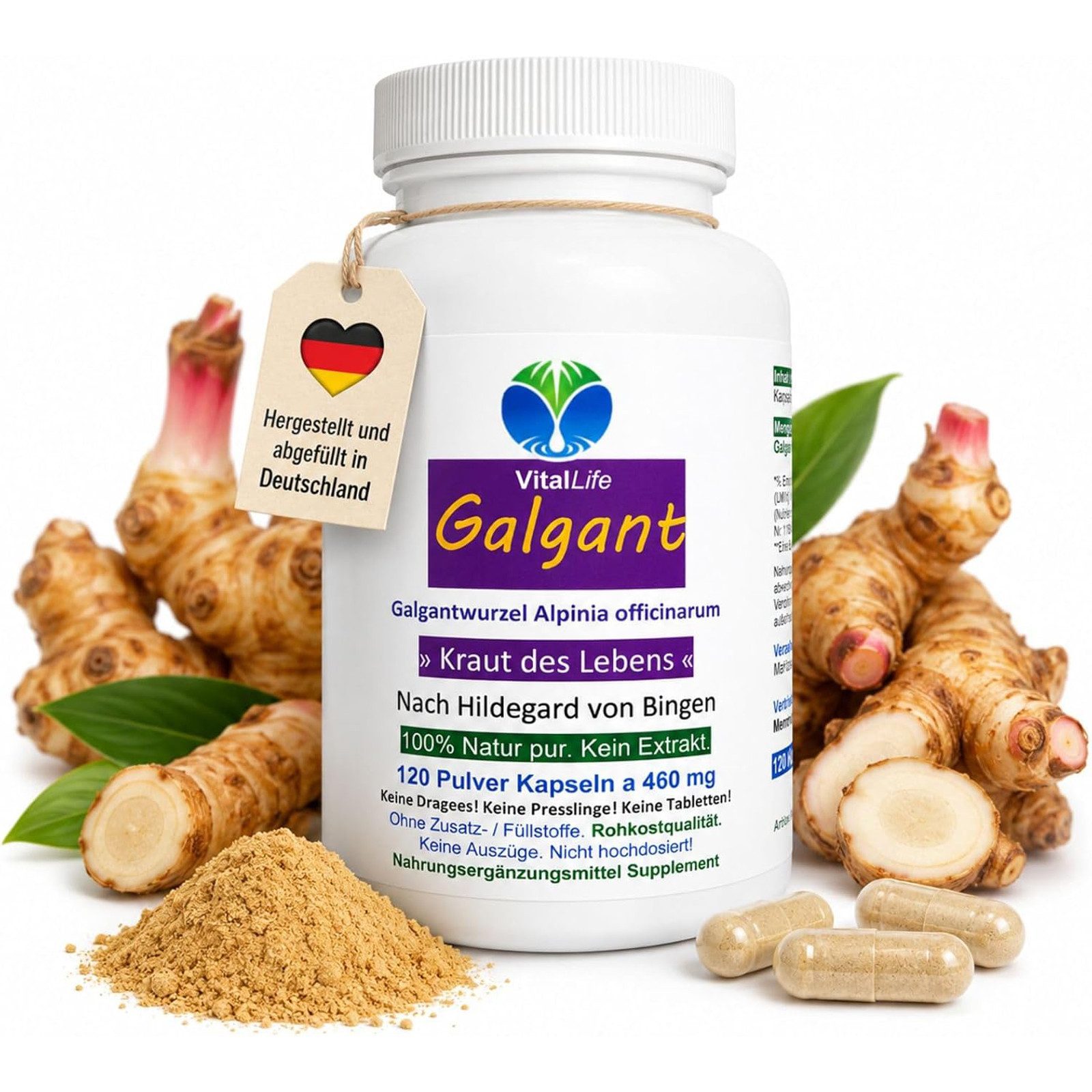 VitalLife Galgant Galgantwurzel Bitterstoffe nach Hildegard von Bingen Kapseln, 1 er Dose à 120 St., 55,2 g, Art. 26875-120