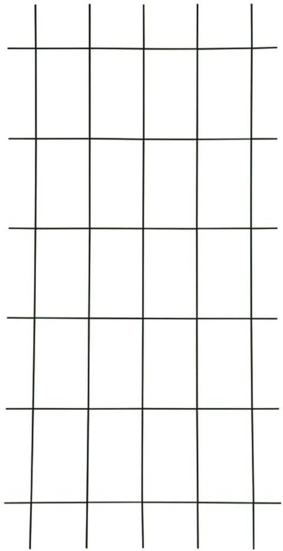 Testrut Spalier Gitterspalier 150 x 60 cm braun, wetterfestes Metallspalier, 1 St.