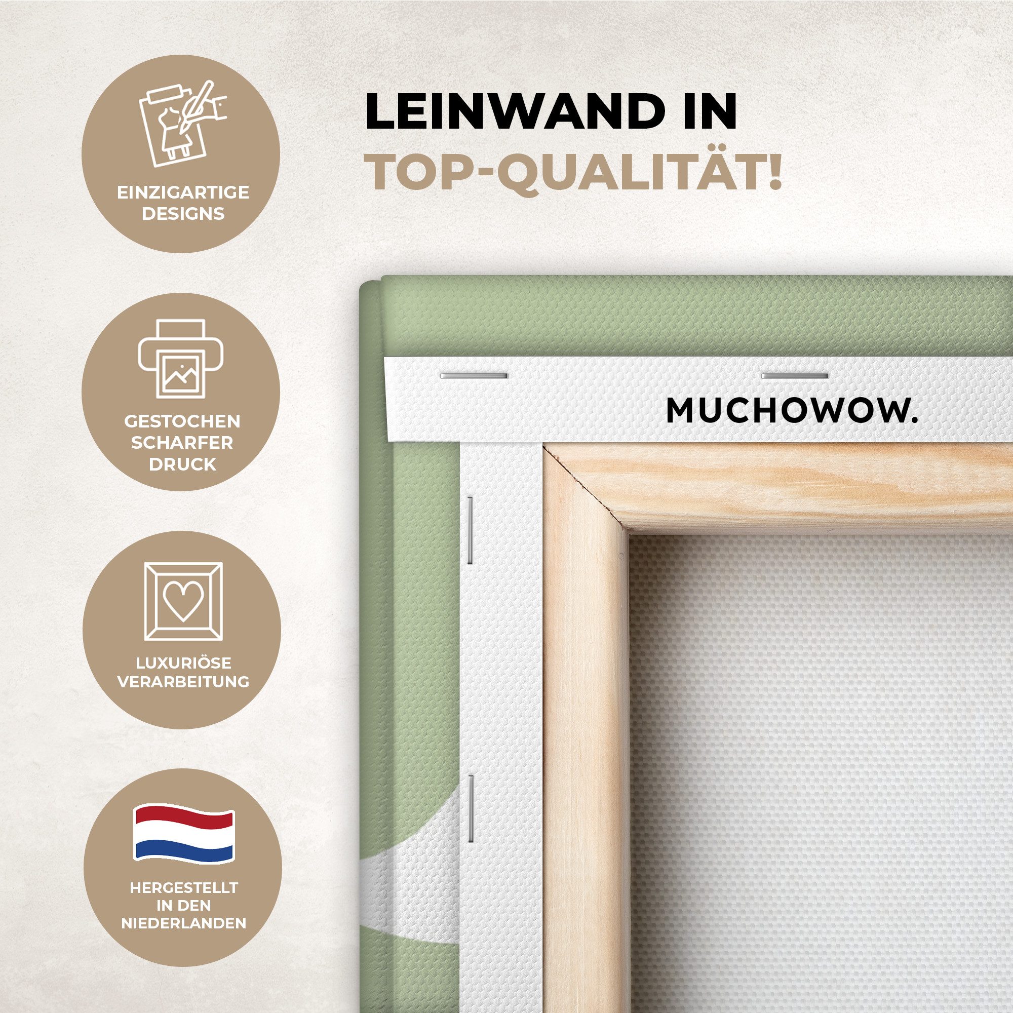 OneMillionCanvasses® Leinwandbild Dino - Triceratops - günstig online kaufen
