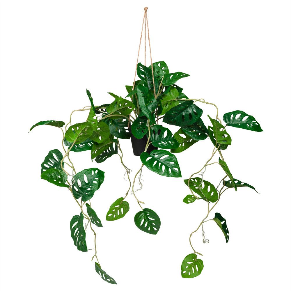 Kunstpflanze Kunstpflanze MONSTERA CLIMB Kunststoff Monstera, günstig online kaufen