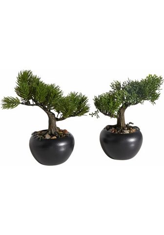  Kunstbonsai »Bonsai« (Набо...