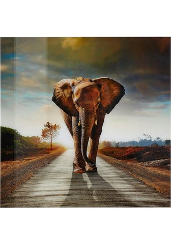 PREMIUM COLLECTION BY HOME AFFAIRE Kартина »Elefant«