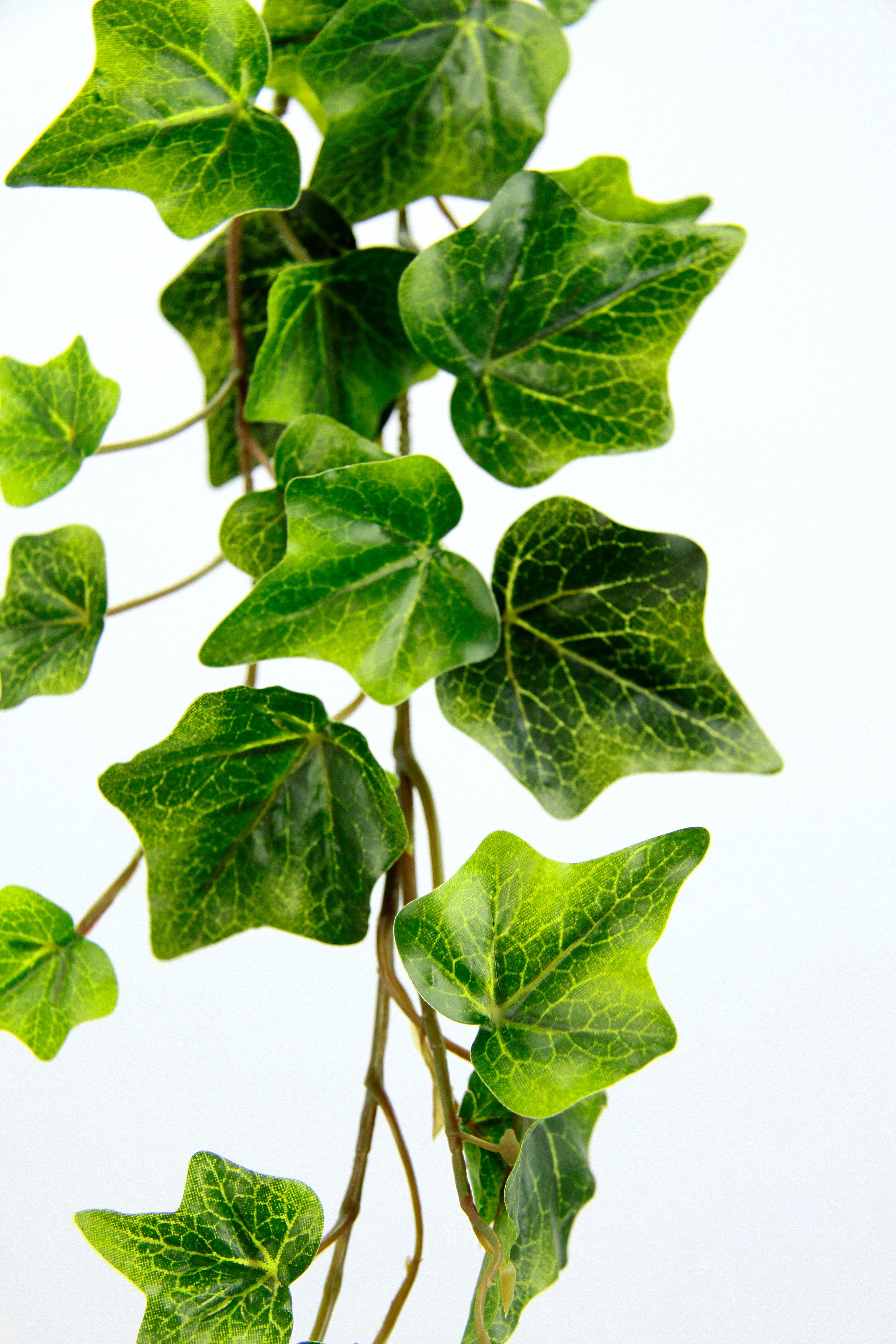 Kunstgirlande Efeuranke, I.GE.A., Höhe 170 cm, 2er Set günstig online kaufen